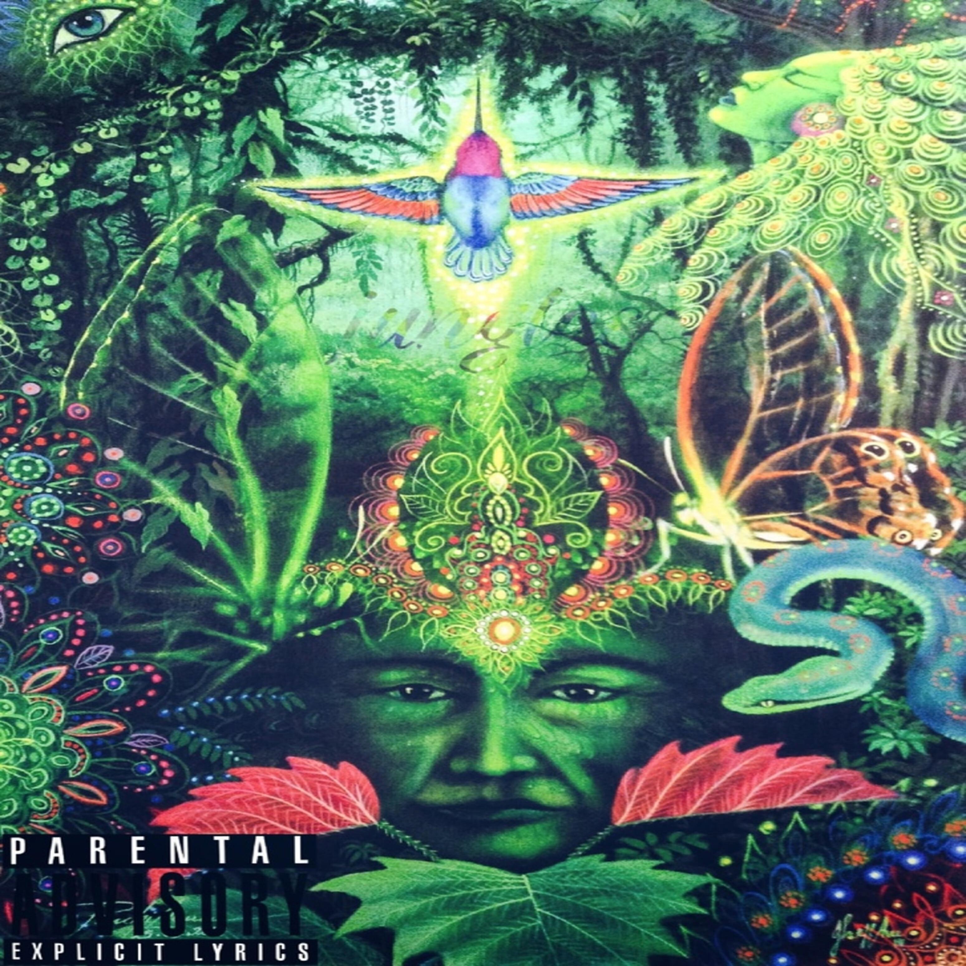 Релиз Jungles