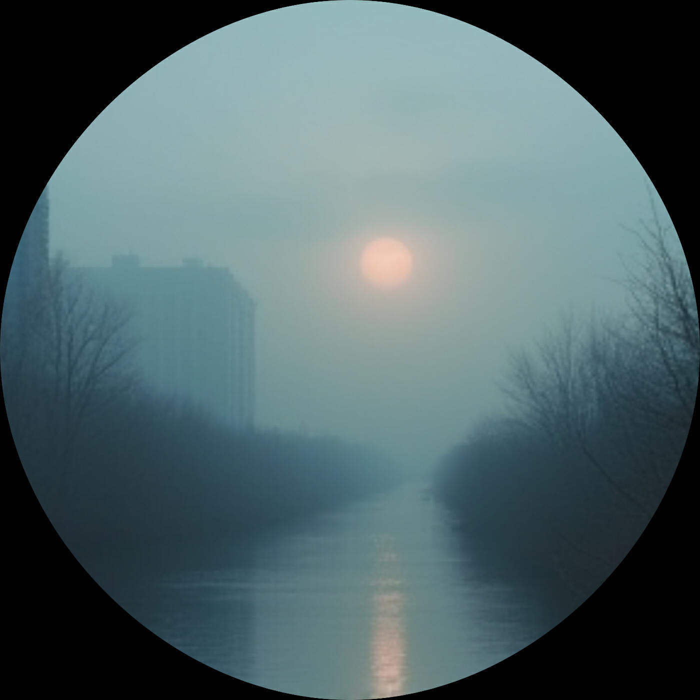 Релиз Sol gris