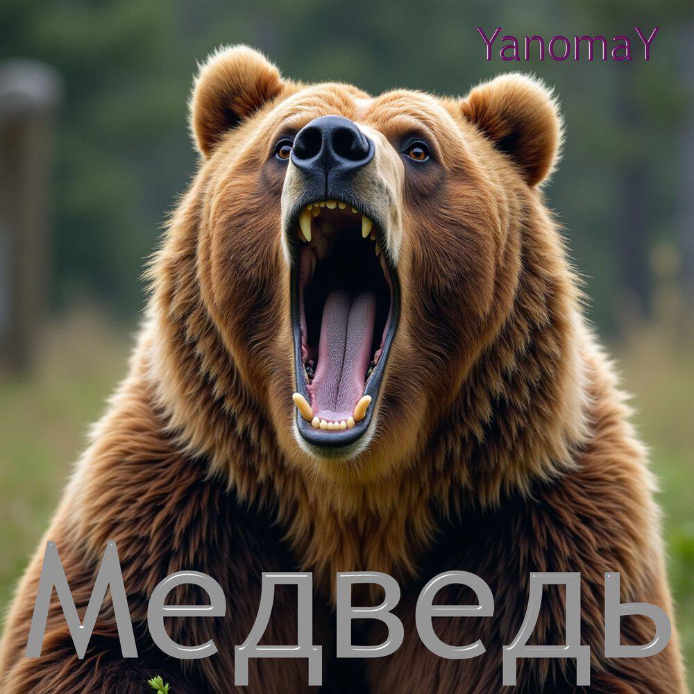 Релиз Медведь