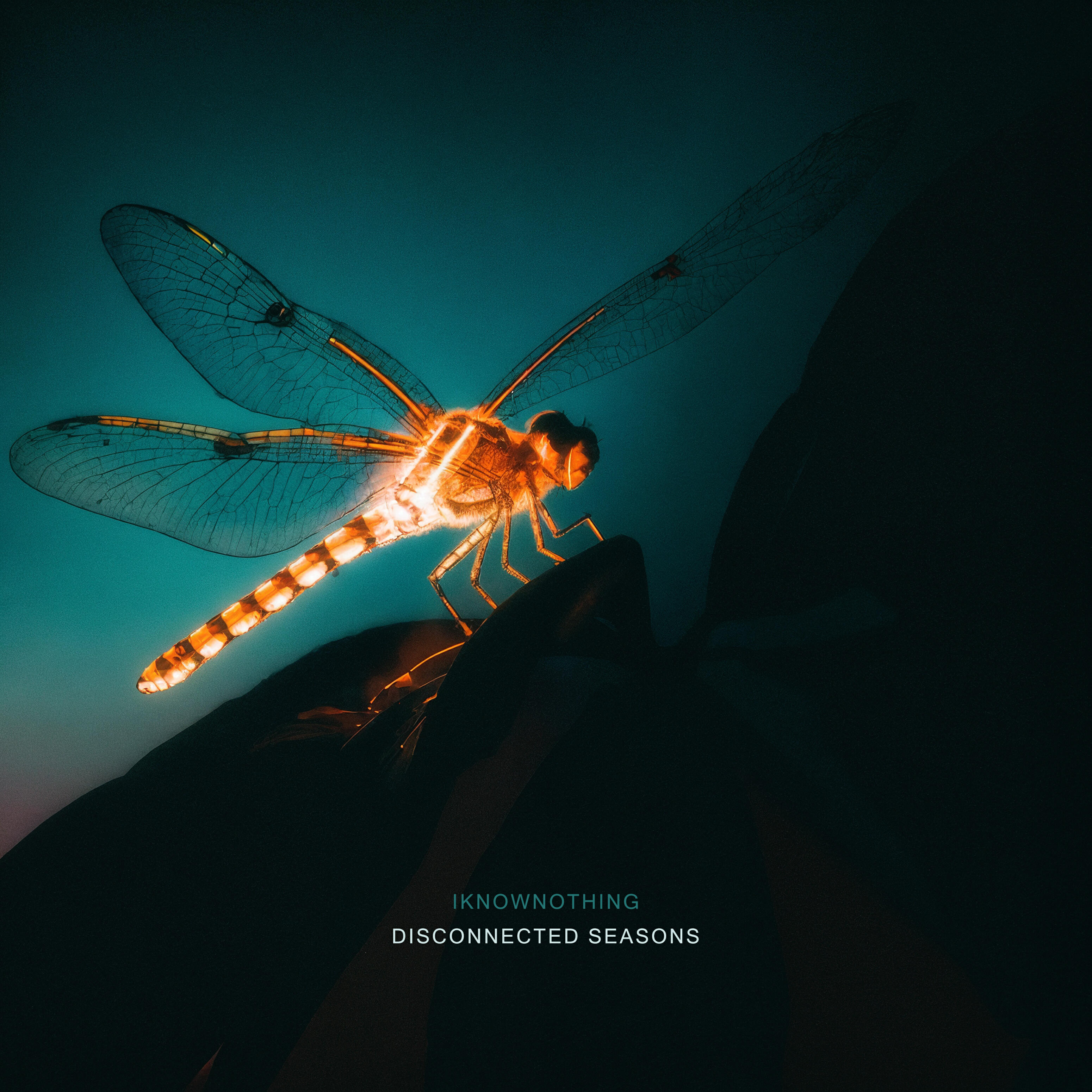 Релиз Disconnected Seasons