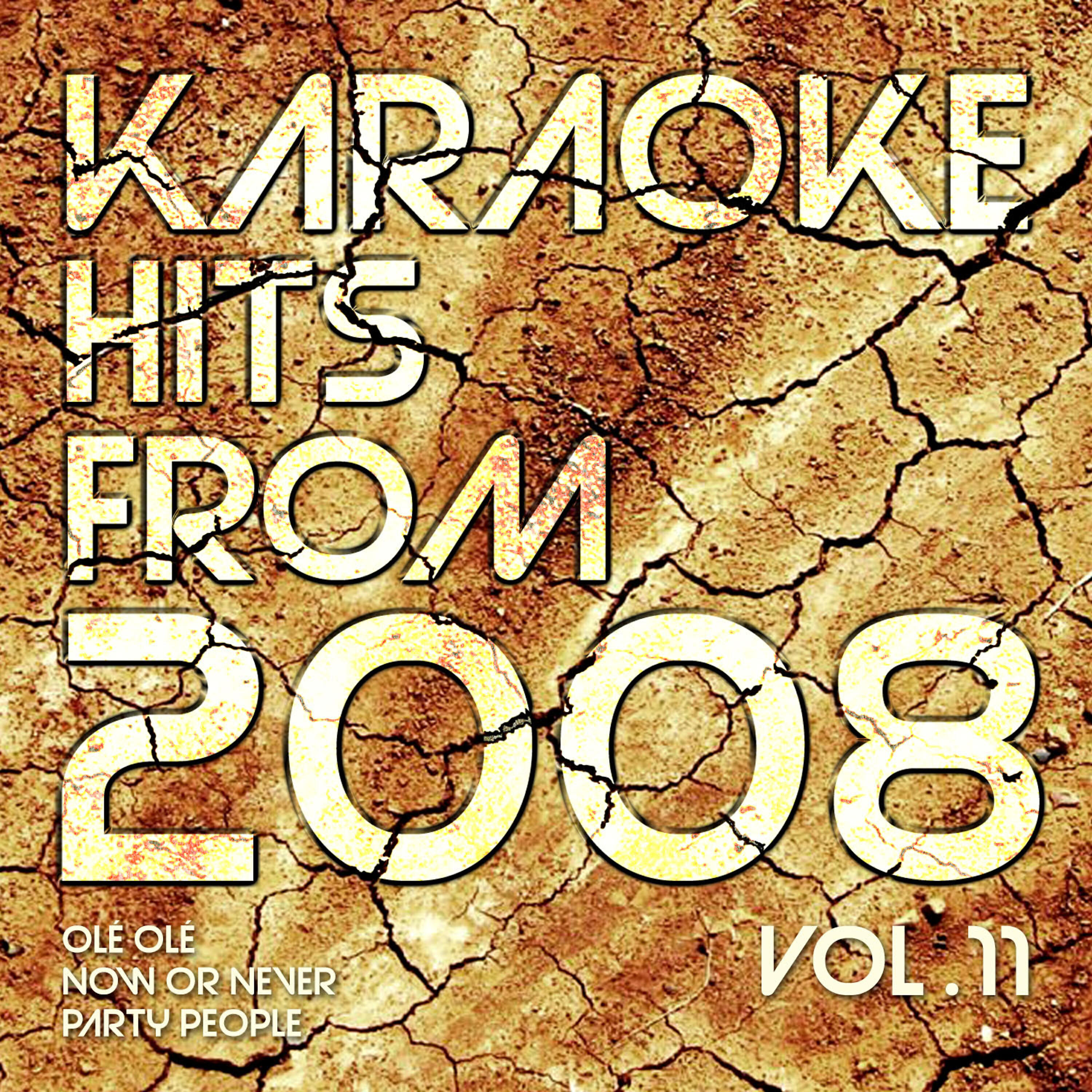 Релиз Karaoke Hits from 2008, Vol. 11