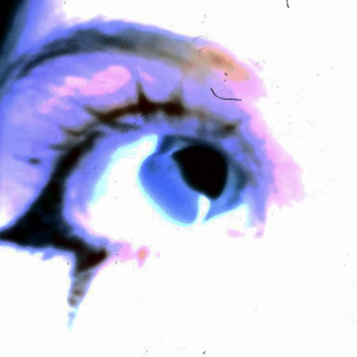 Релиз fool (sped up)