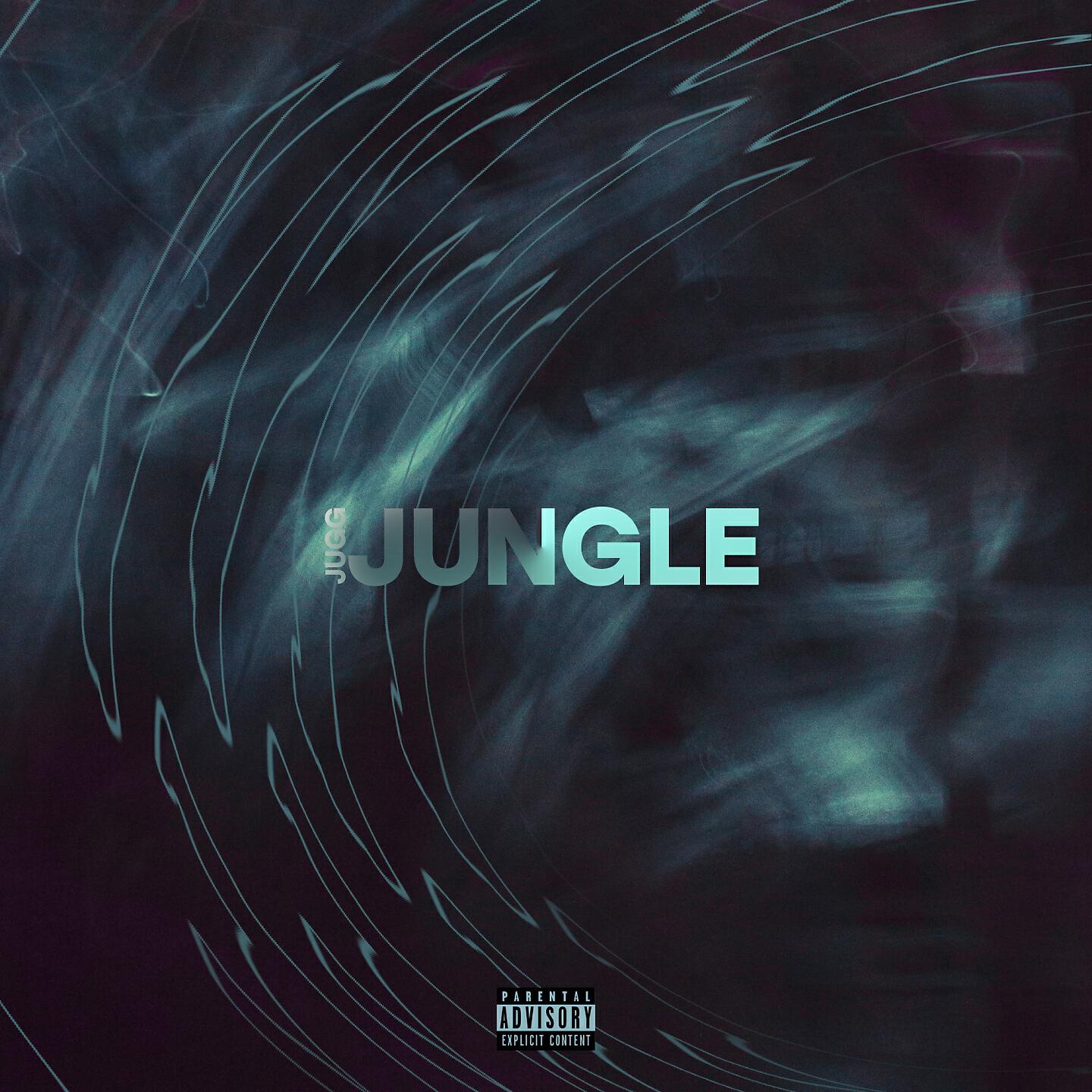Релиз Jungle