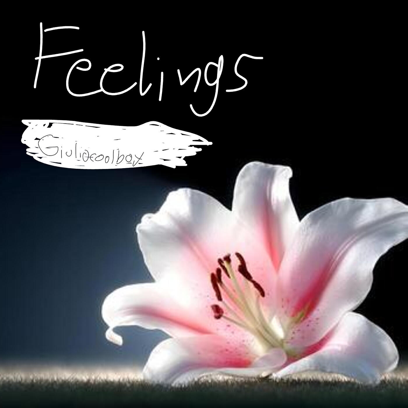 Релиз Feelings