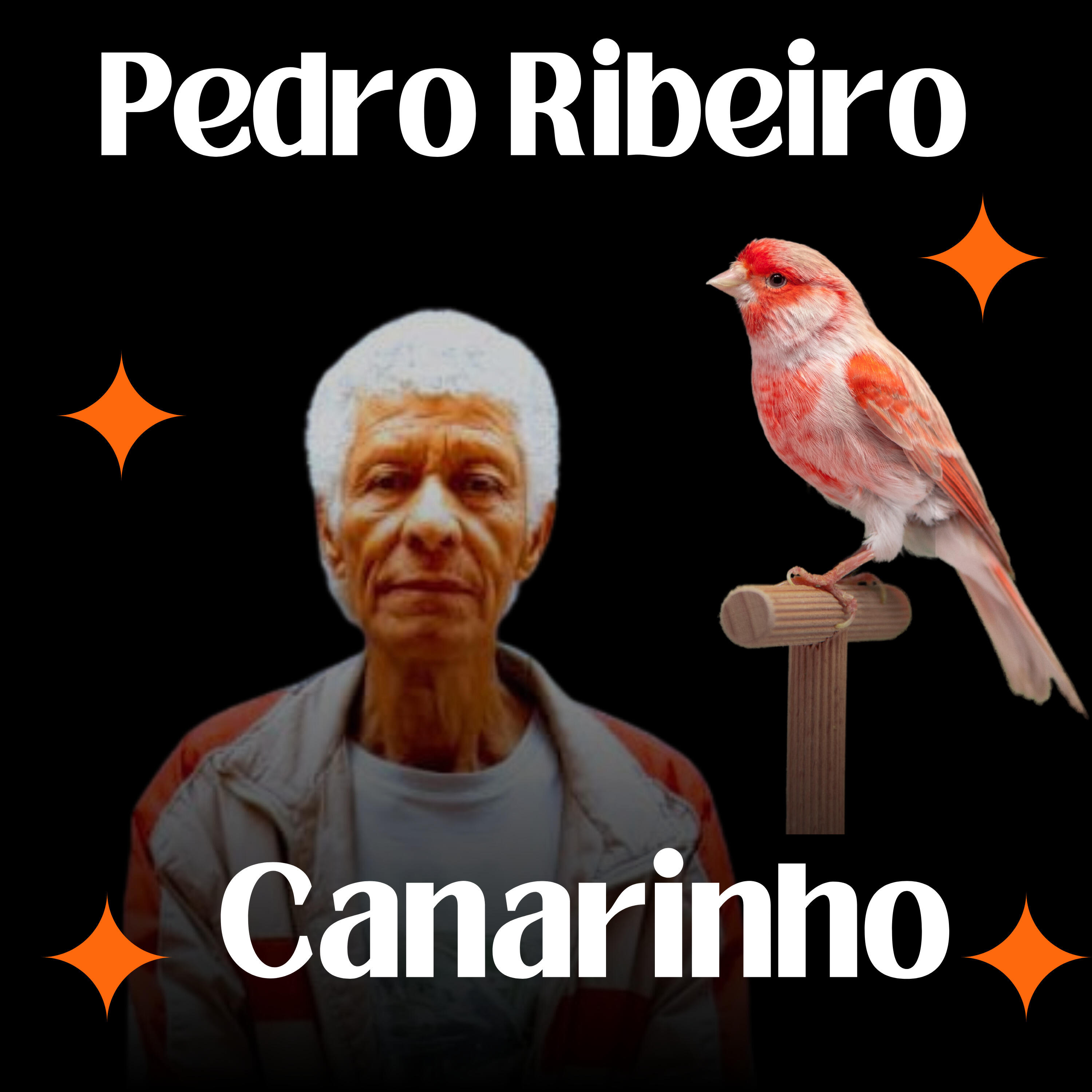 Pedro Ribeiro