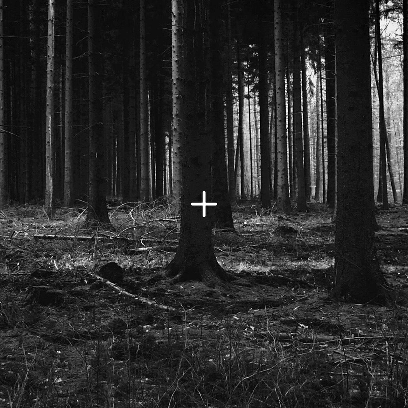 Релиз Plus