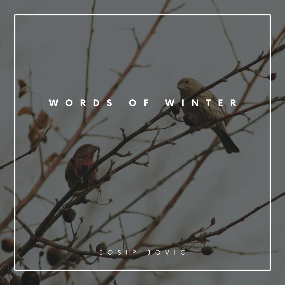 Релиз Words of Winter