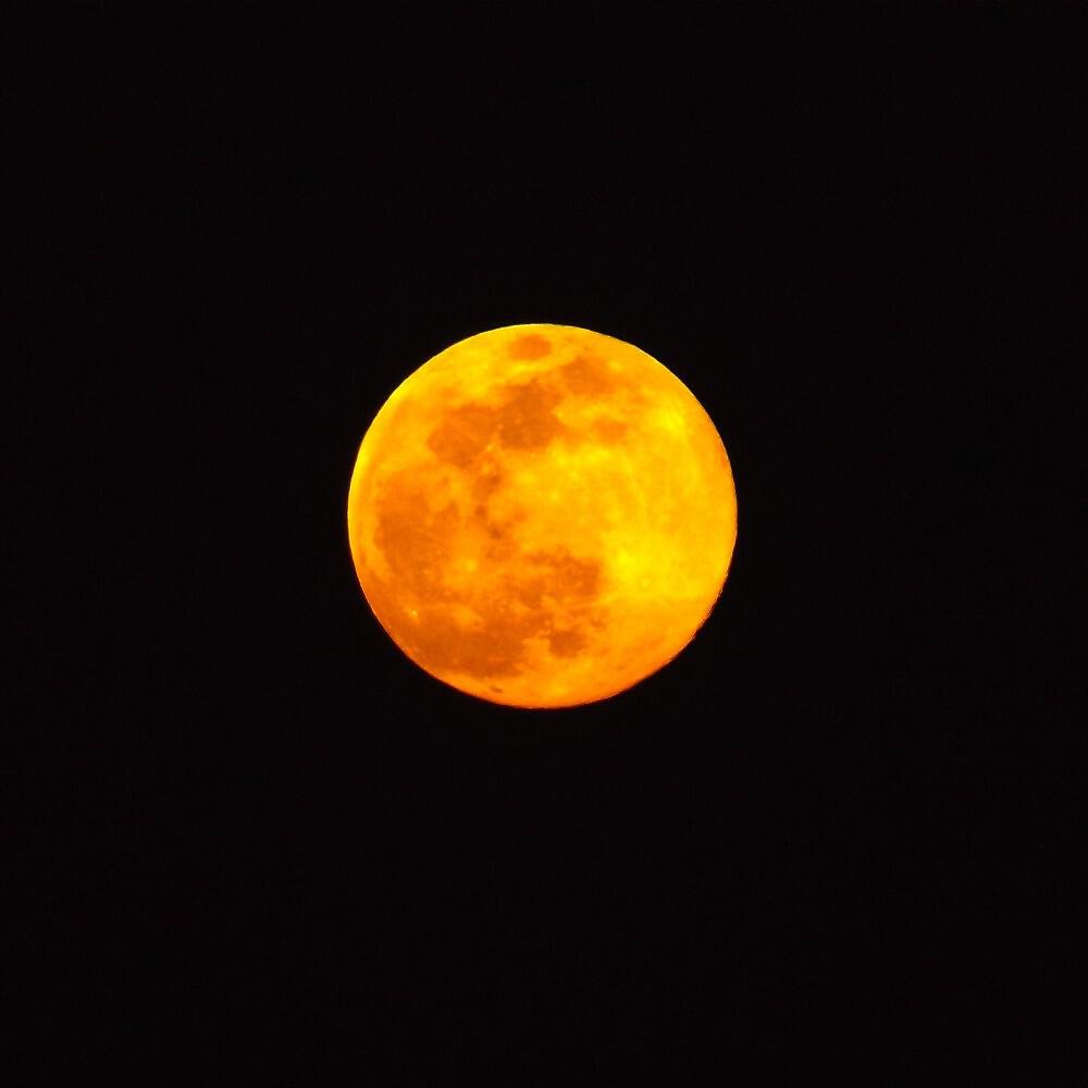 Релиз Pleine lune