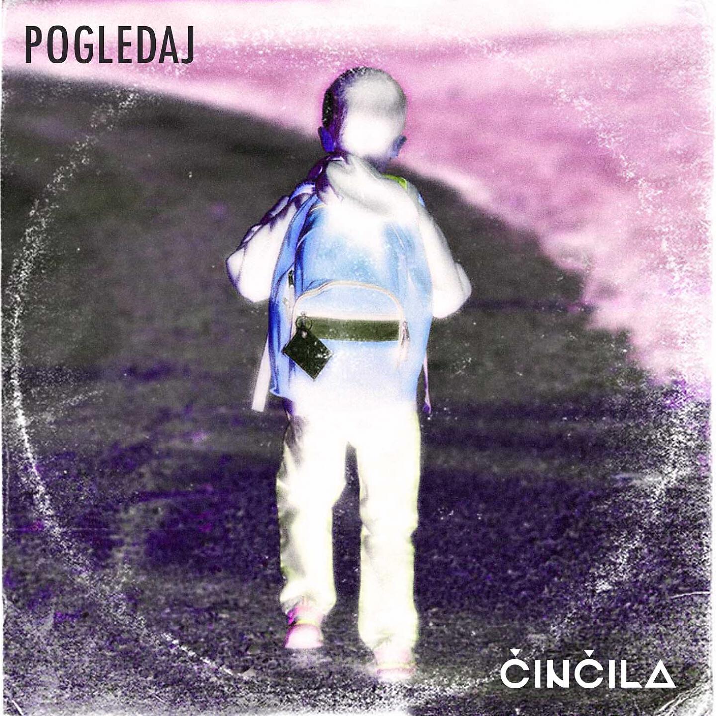 Činčila