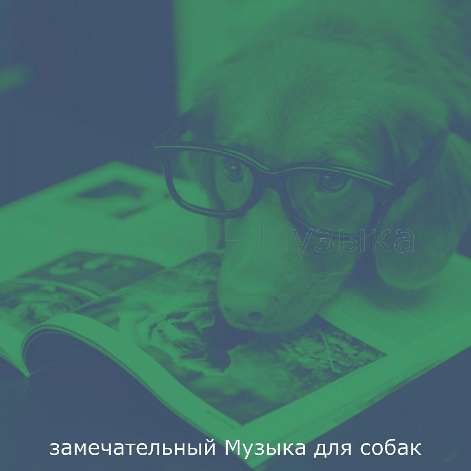 Релиз Собаки - Музыка
