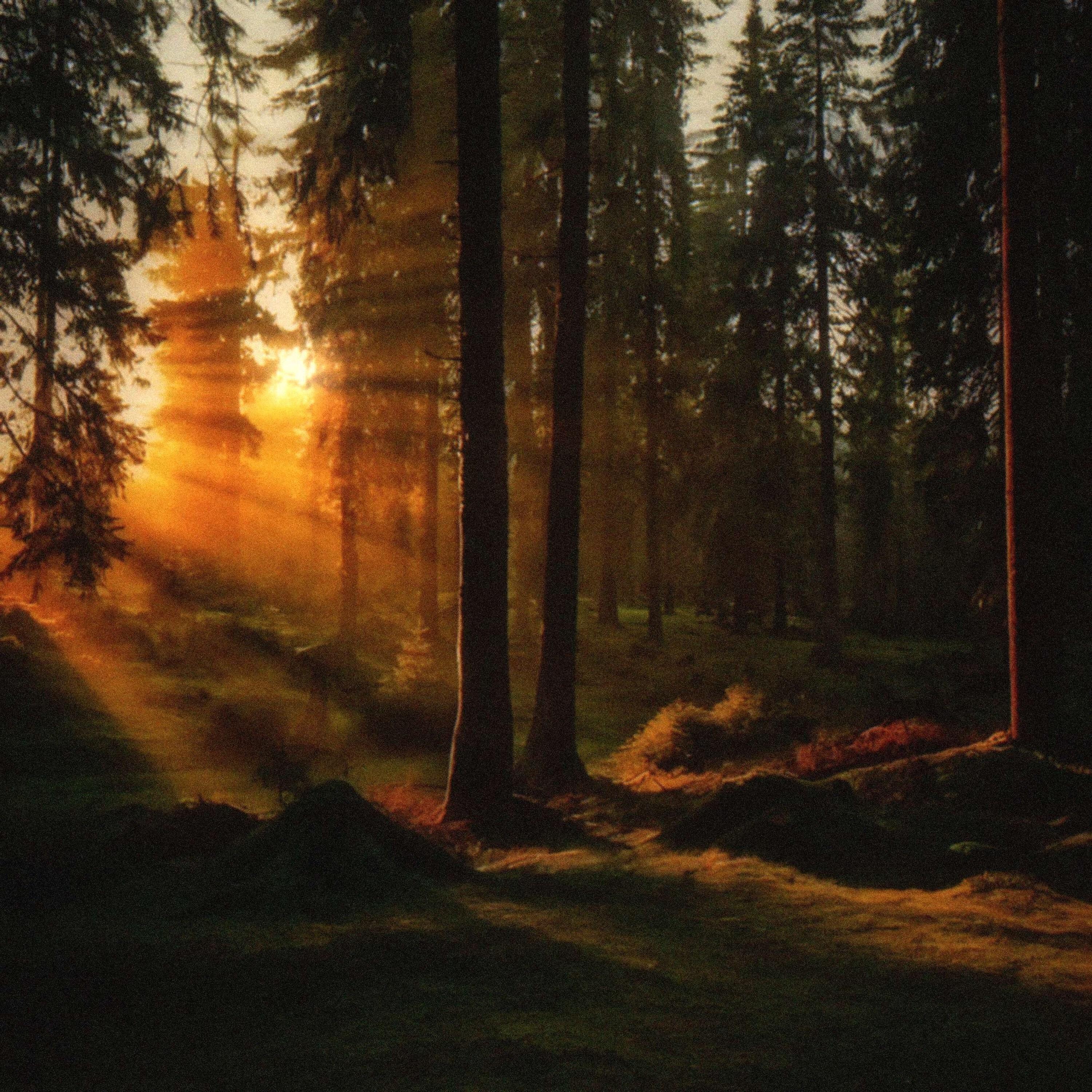 Релиз happier