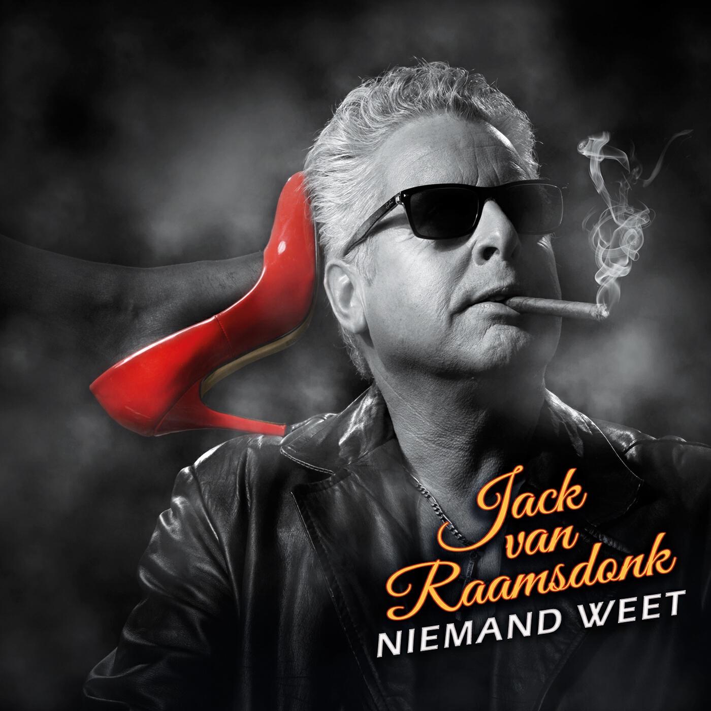 Релиз Niemand weet