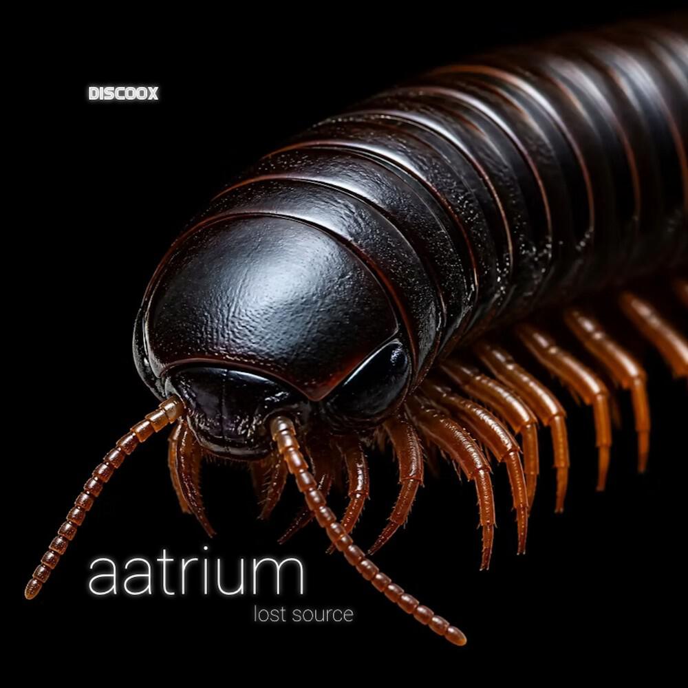 Релиз lost source