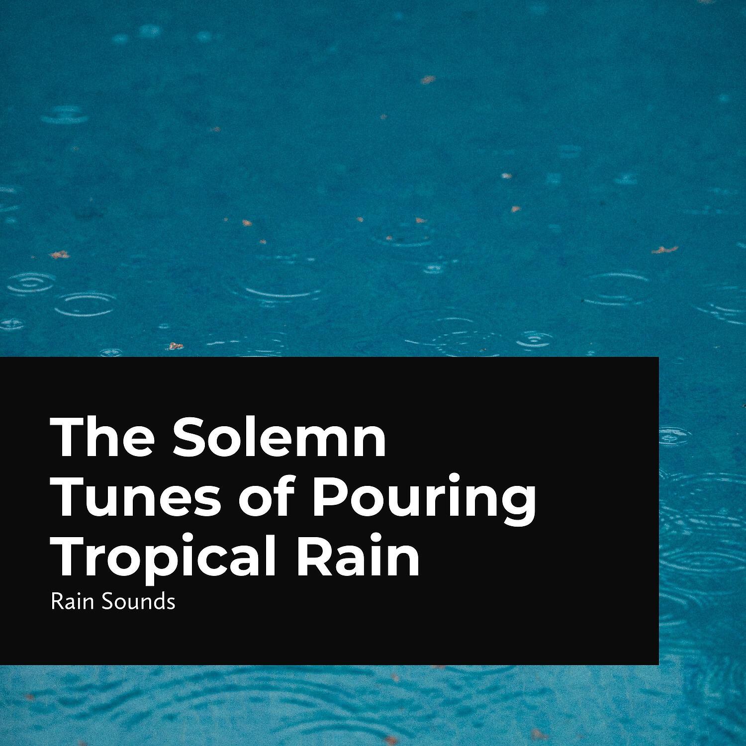 Релиз The Solemn Tunes of Pouring Tropical Rain