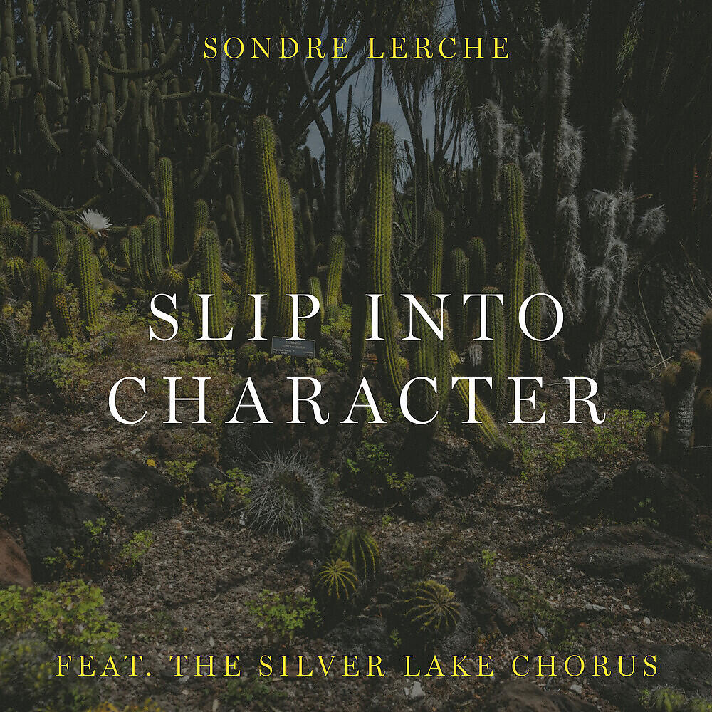 Релиз Slip Into Character