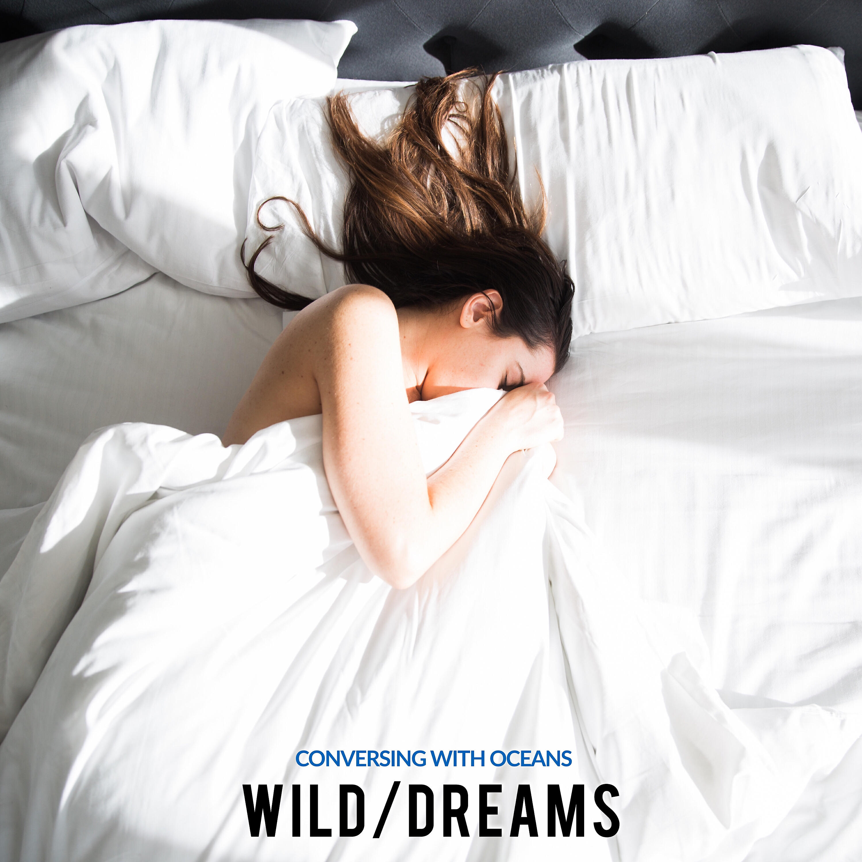 Релиз Wild / Dreams