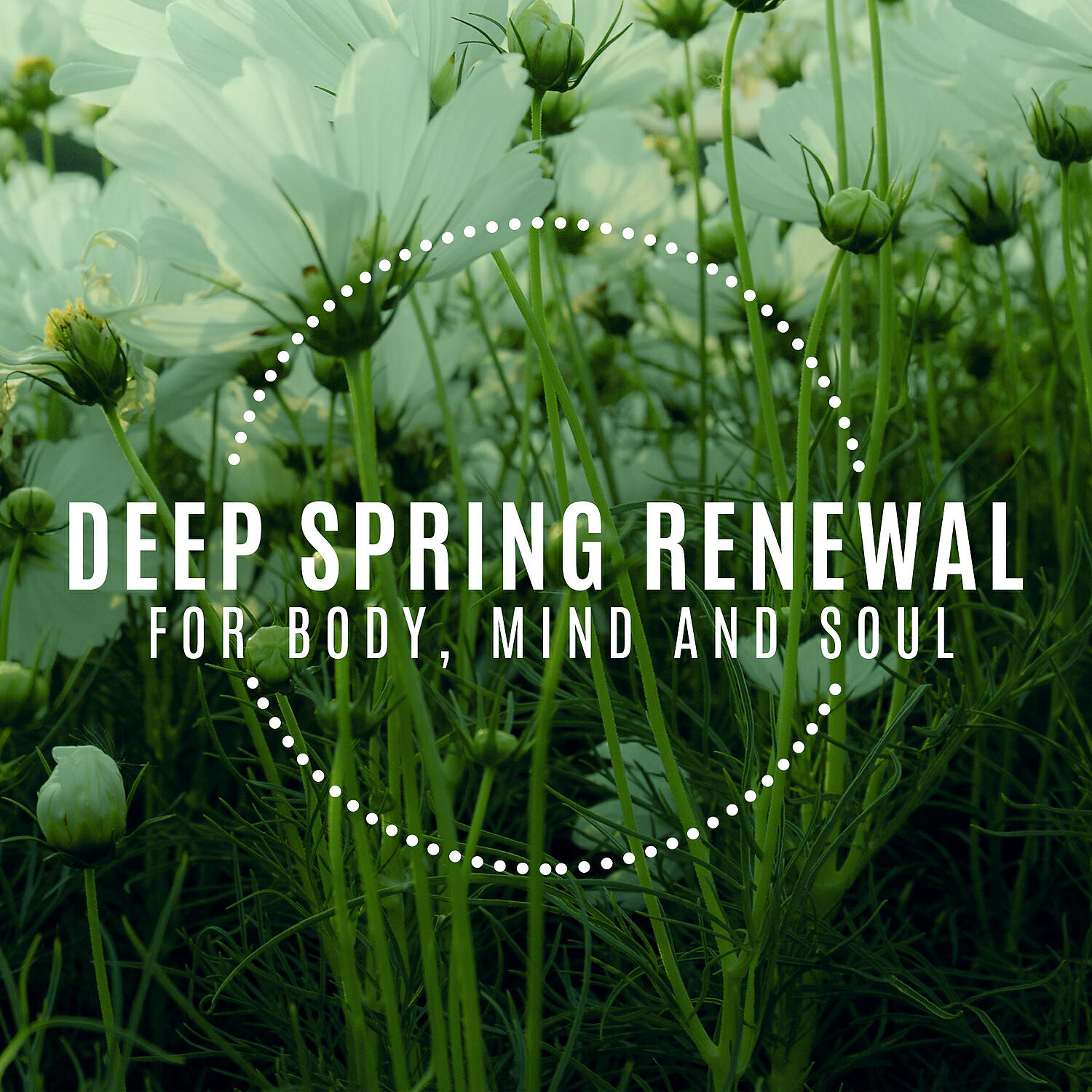 Релиз Deep Spring Renewal for Body, Mind and Soul: Relaxing Nature Music to Revive Your Inner Resources