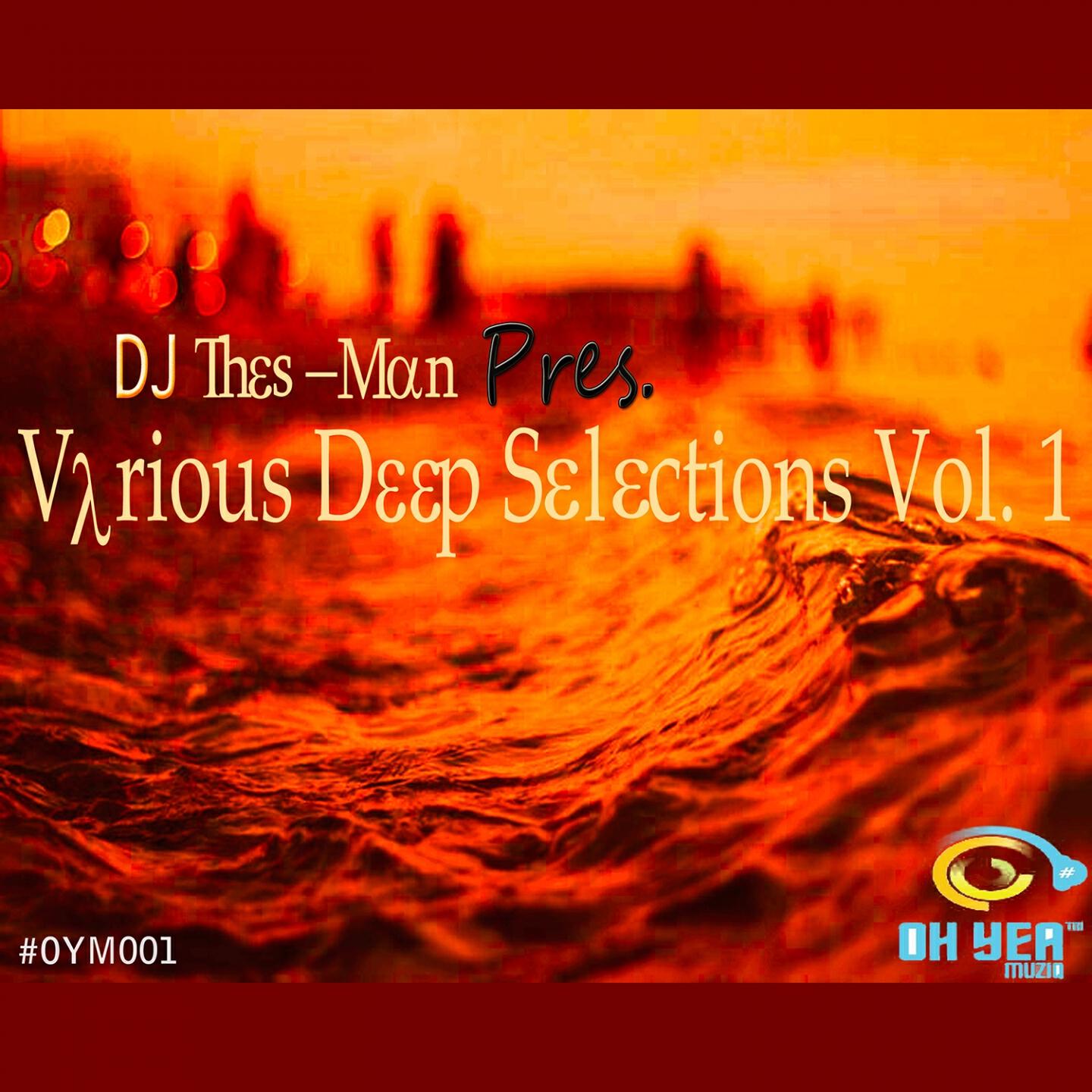 Релиз DJ Thes-Man Presents: Various Deep Selections, Vol. 1