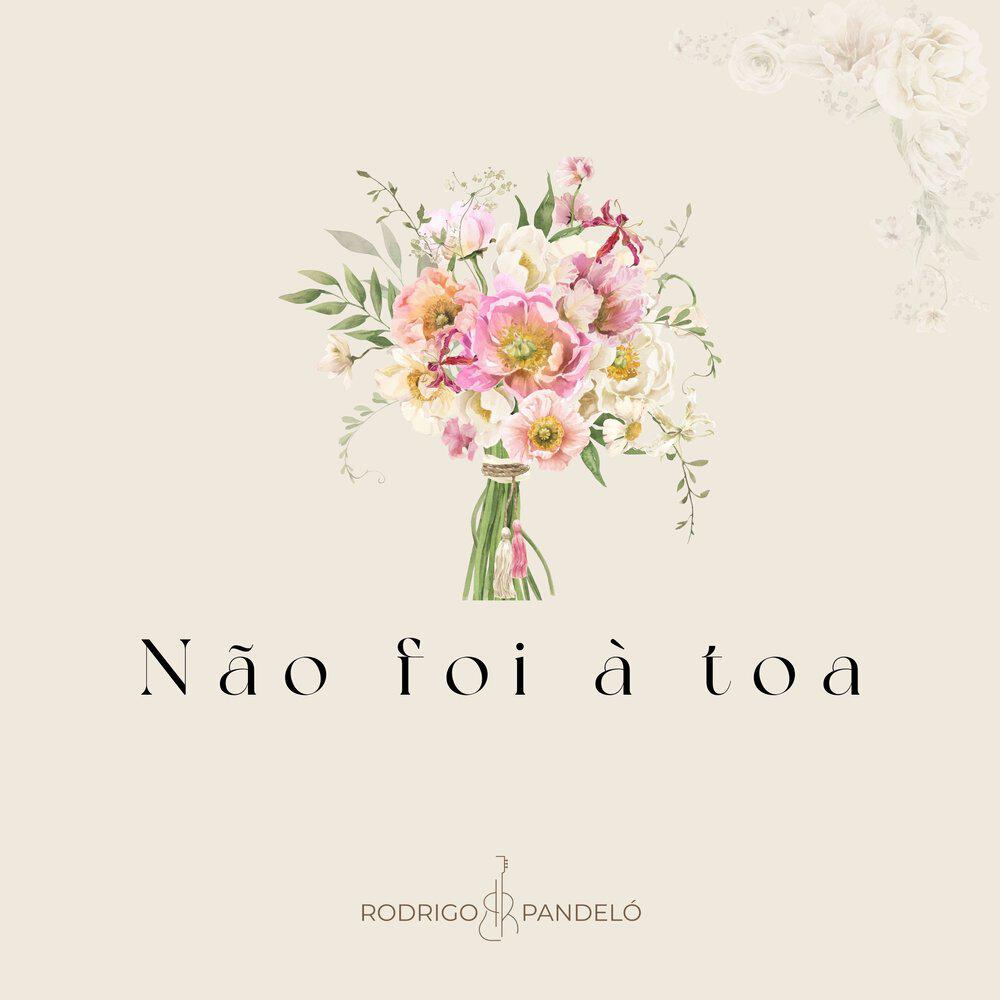 Релиз Não Foi à Toa