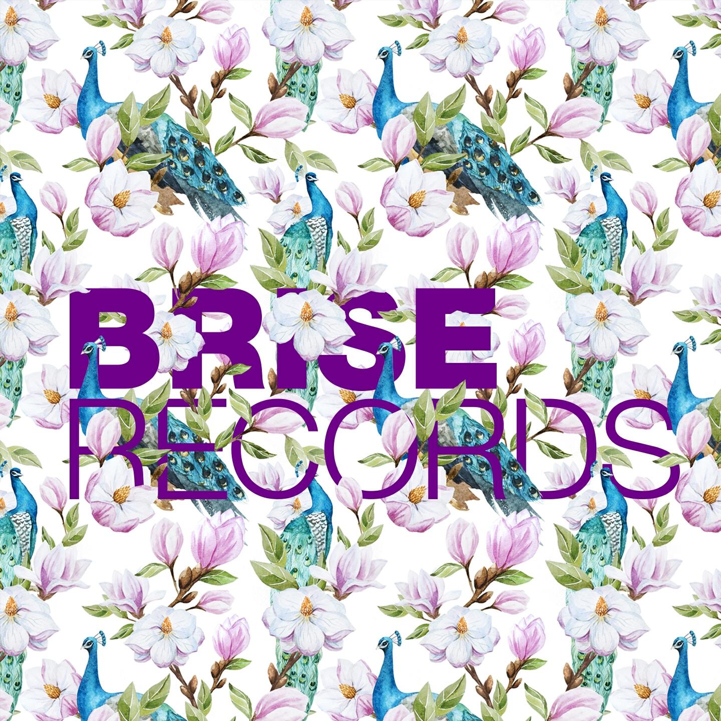Helmut Dubnitzki
