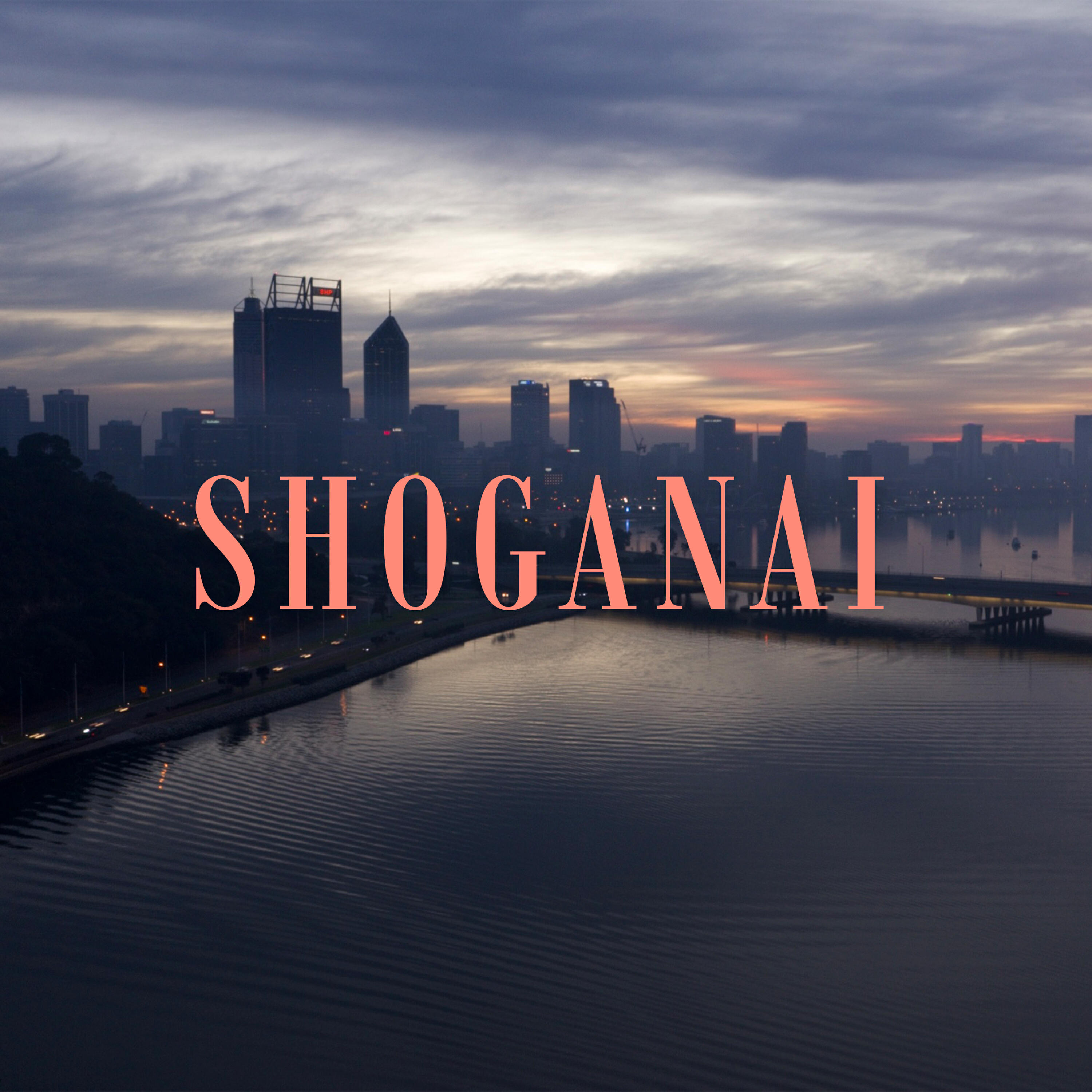 Релиз Shoganai