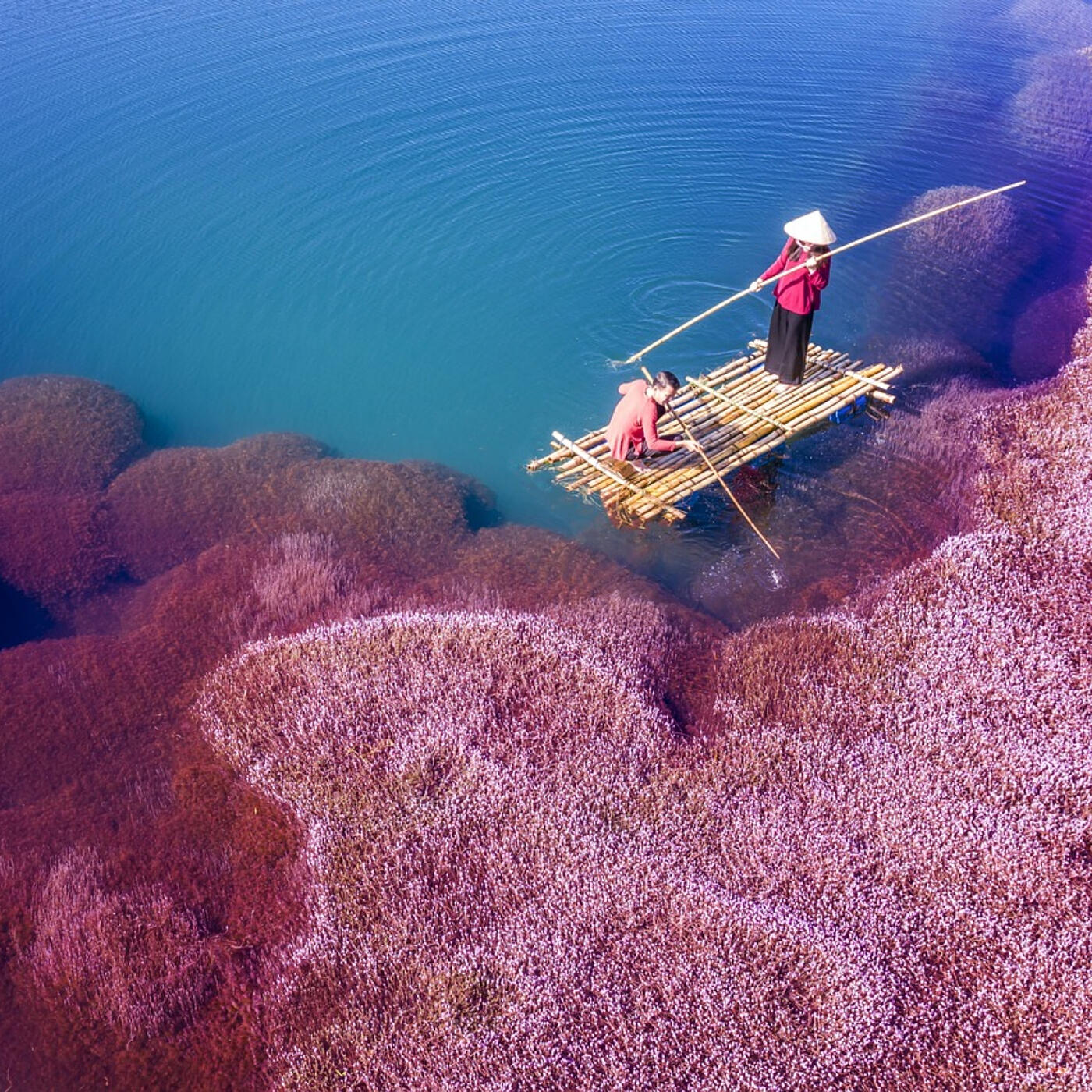 Релиз Gal Man Te