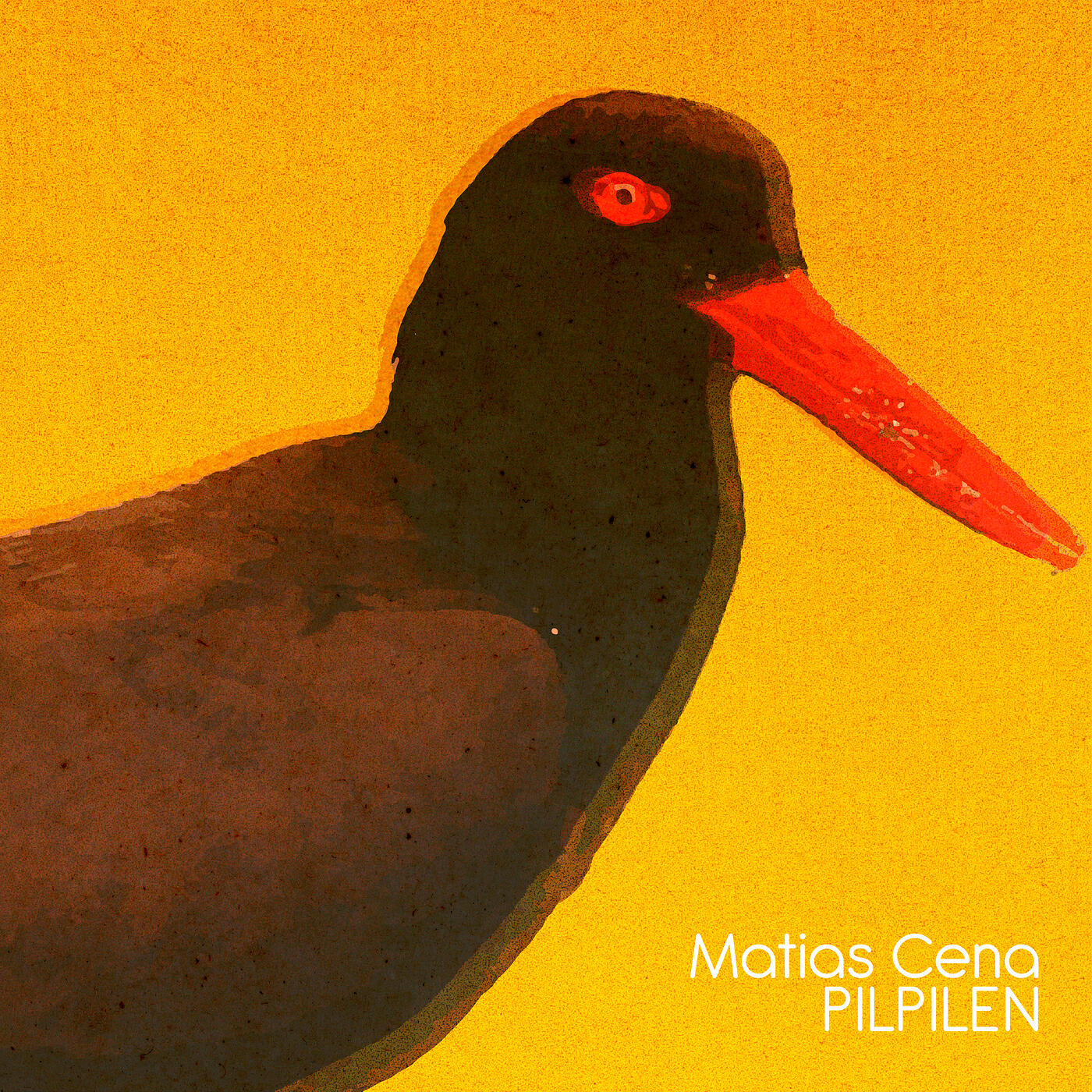 Релиз Pilpilén