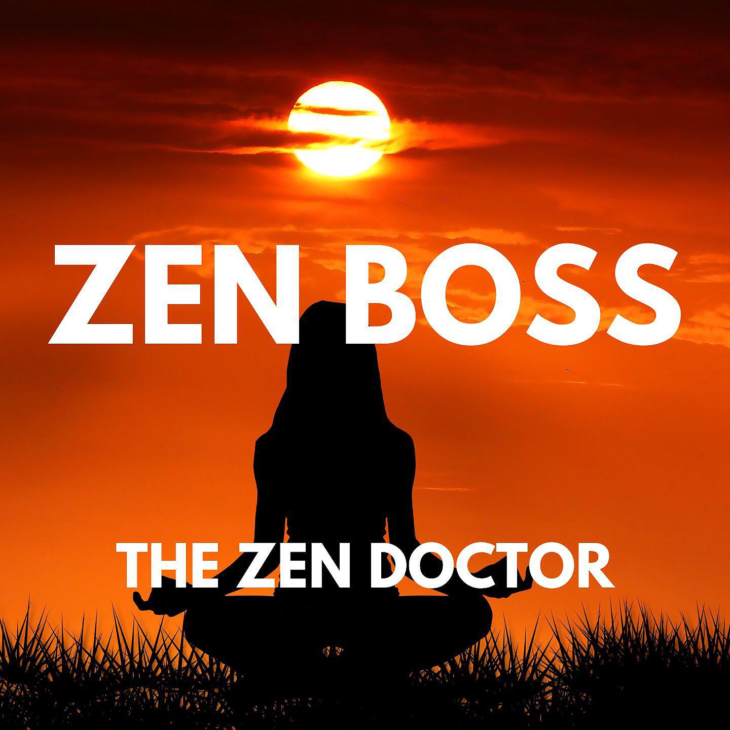 Релиз The Zen Doctor