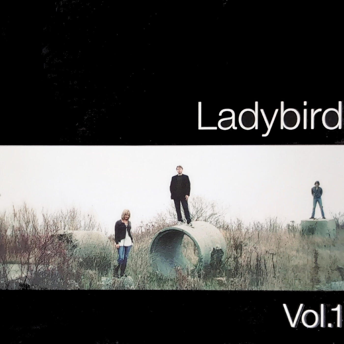 Релиз Ladybird, Vol.1