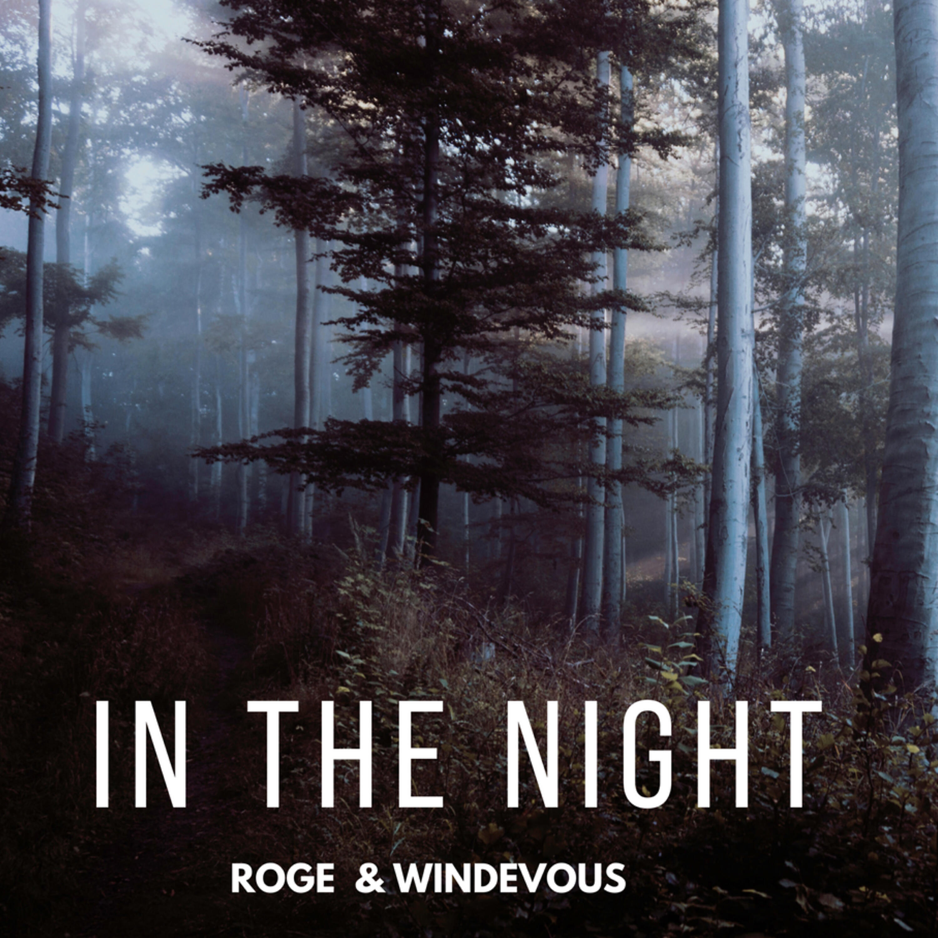 Релиз In The Night