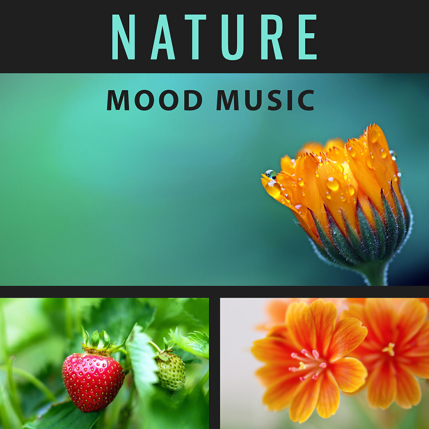 Трек Natural Sleep