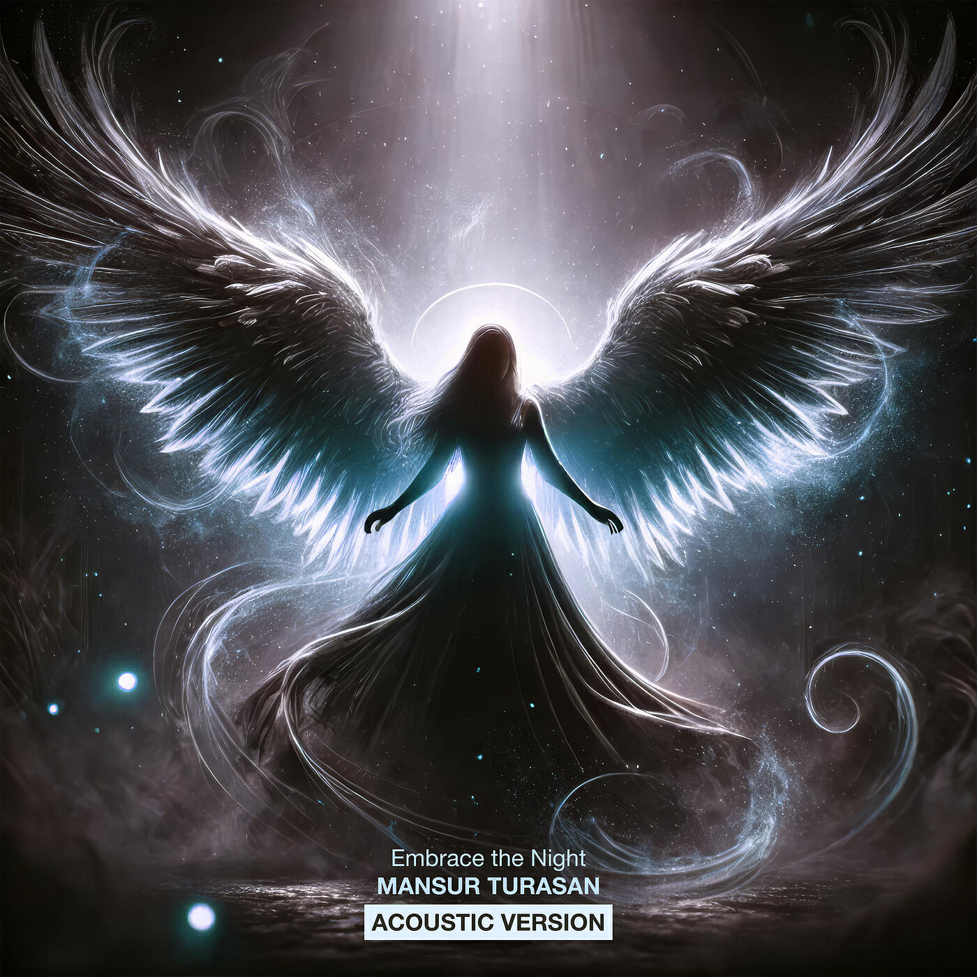 Релиз Embrace the Night (Acoustic Version)