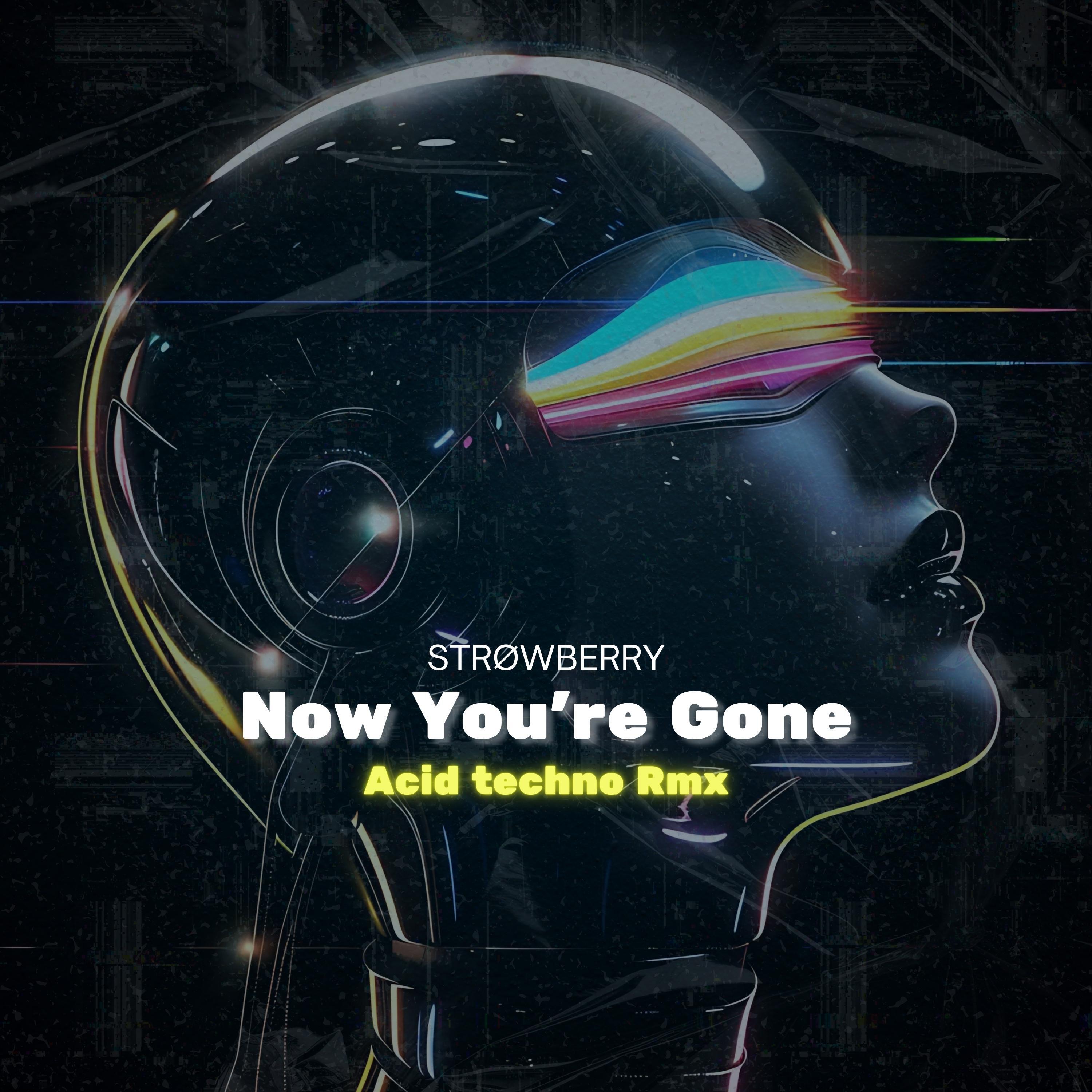 Релиз Now You're Gone (Acid Techno)