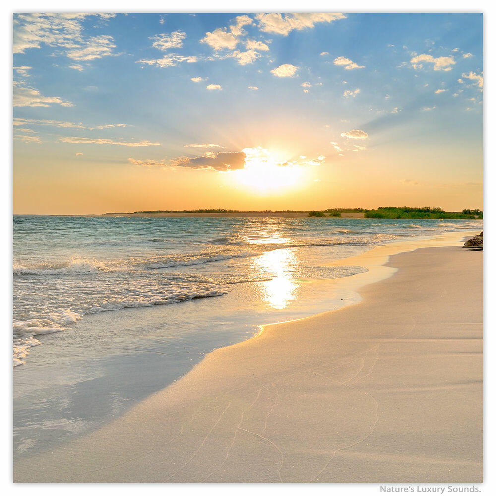 Peaceful Gentle Sounds of Nature