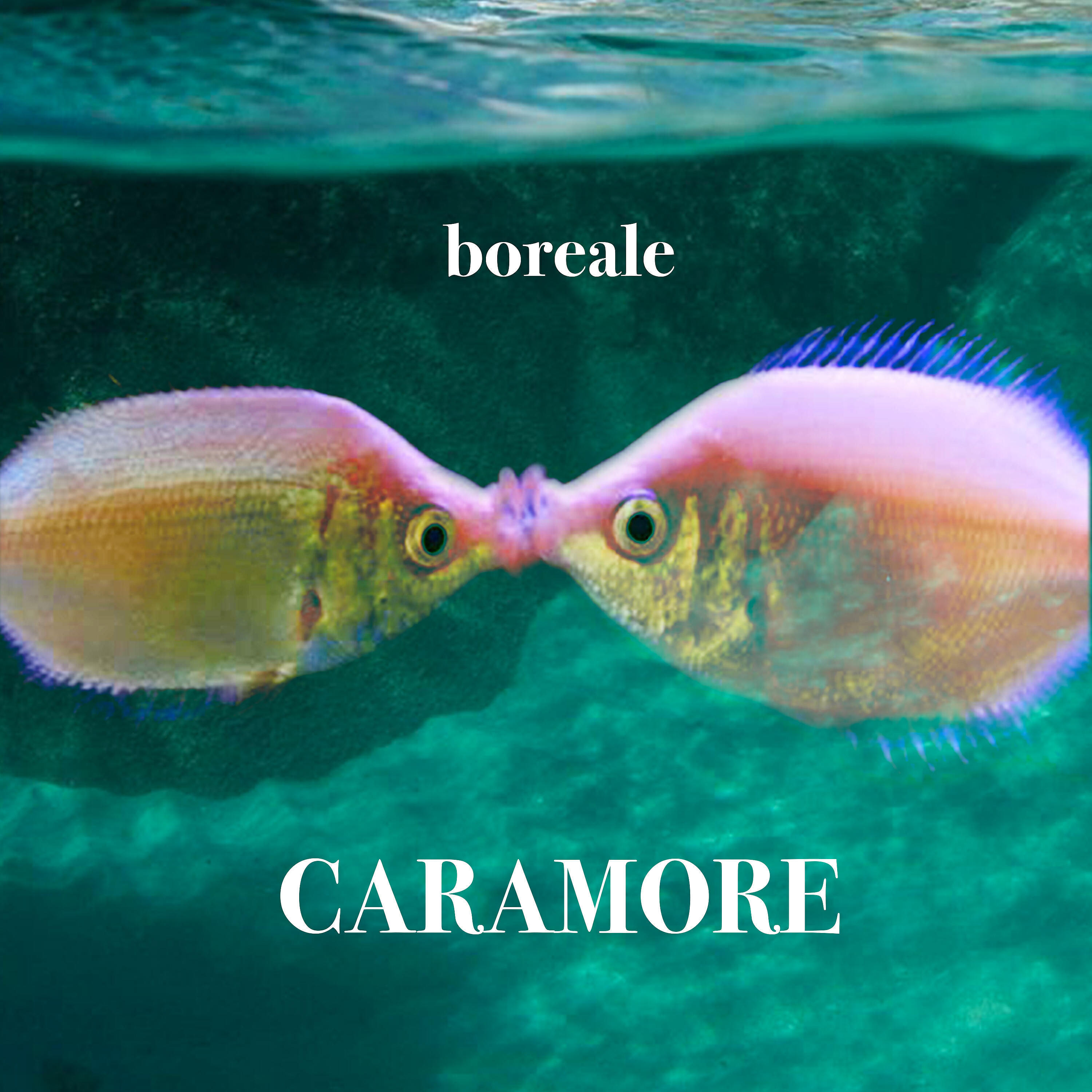 Boreale
