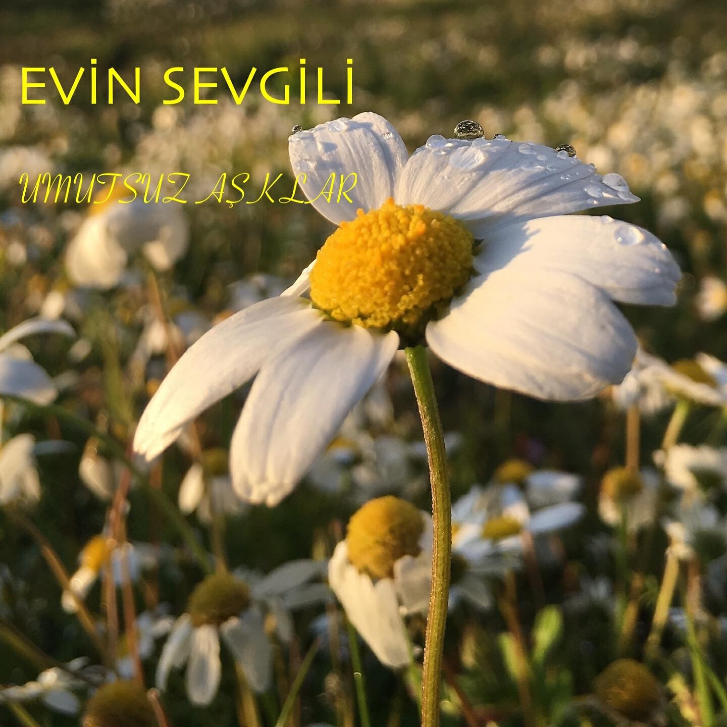 EVİN SEVGİLİ