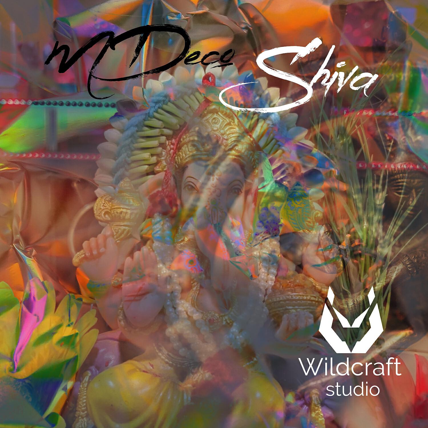 Релиз Shiva