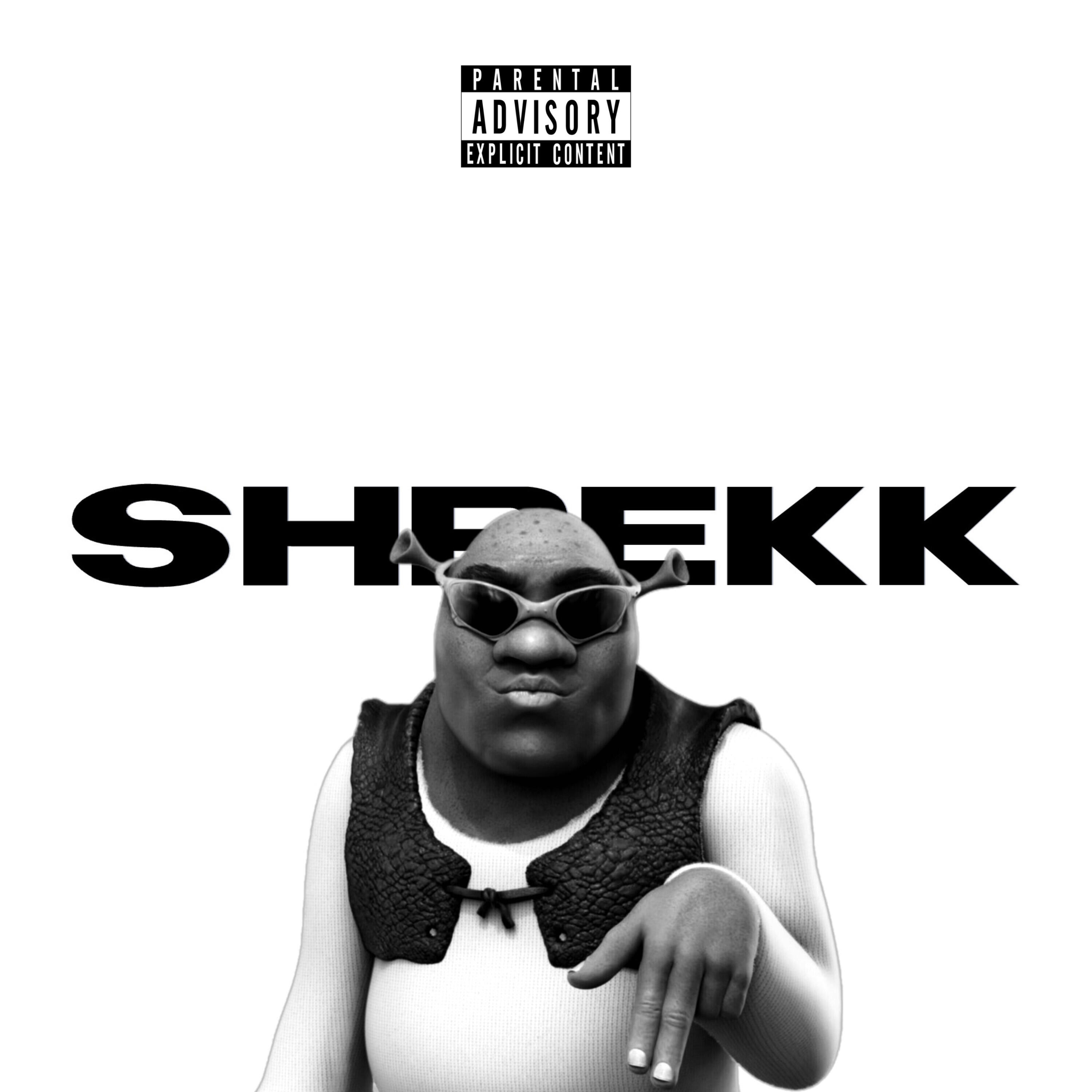 Релиз SHREKK