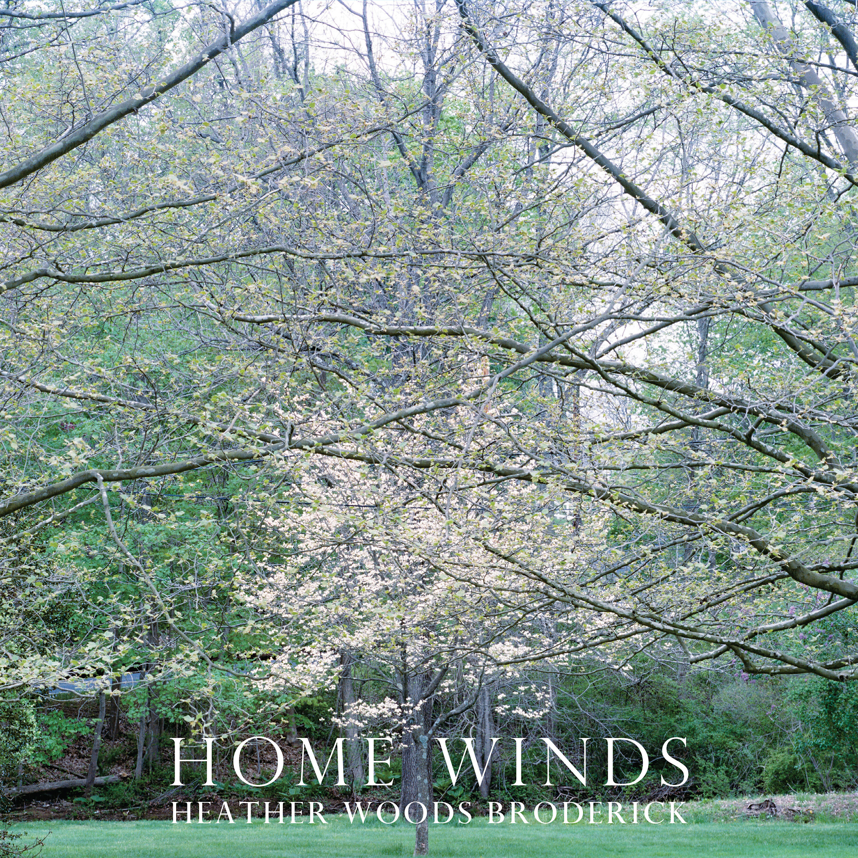 Релиз Home Winds