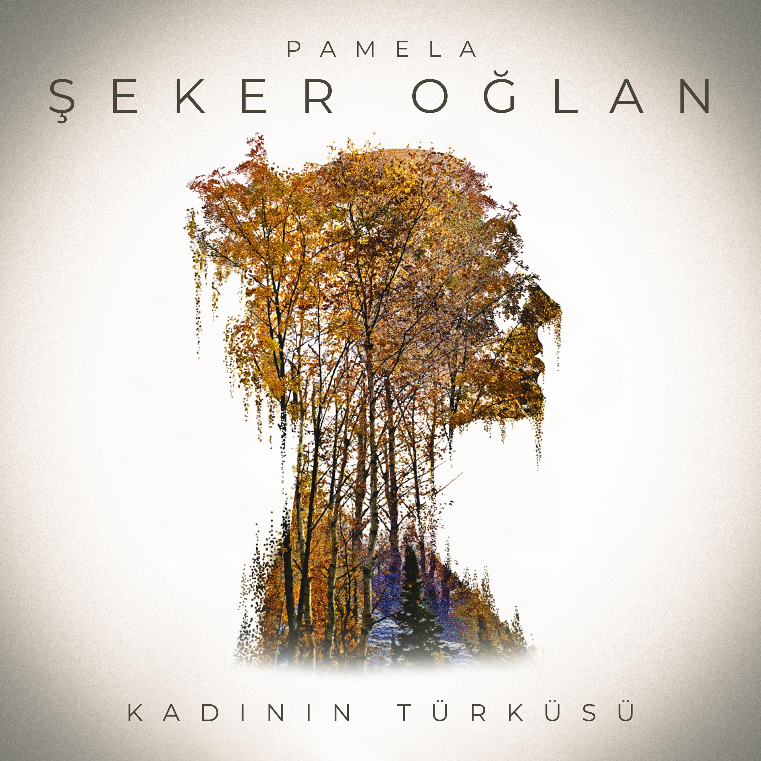 Релиз Şeker Oğlan