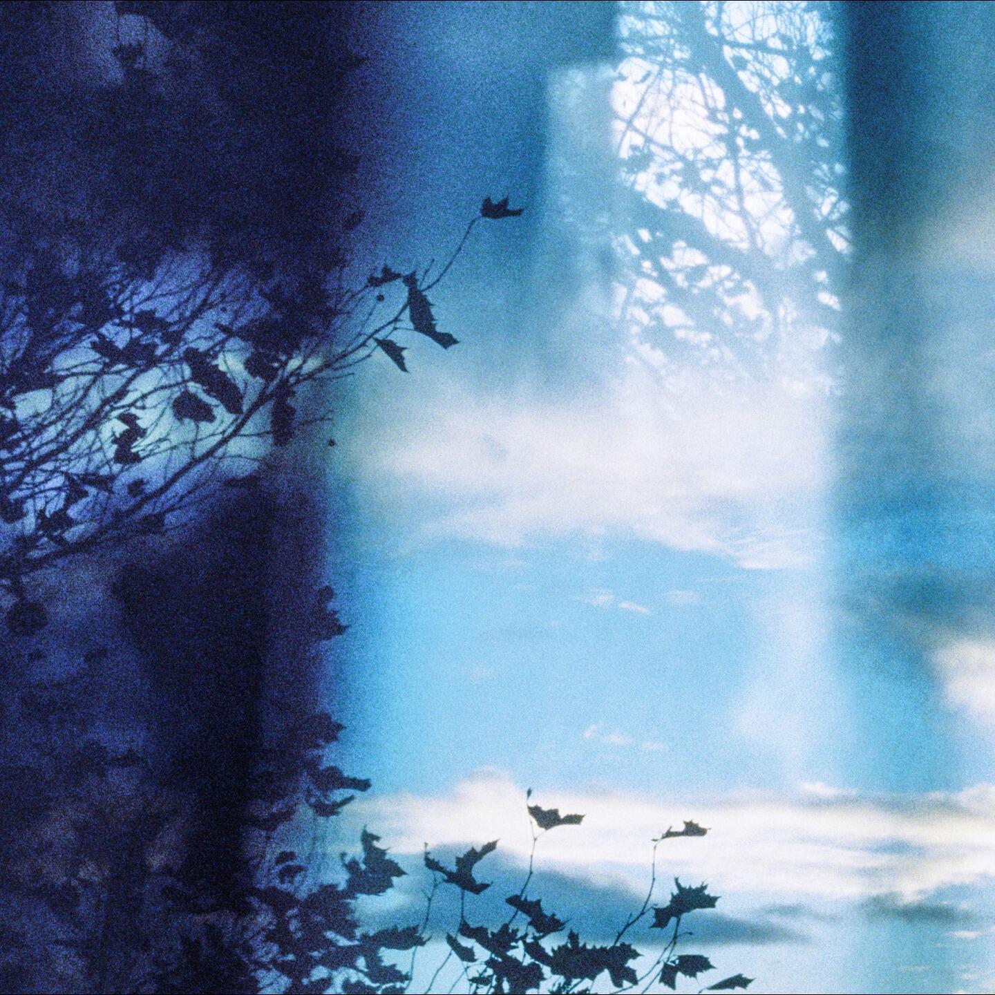 Релиз Counting Rain