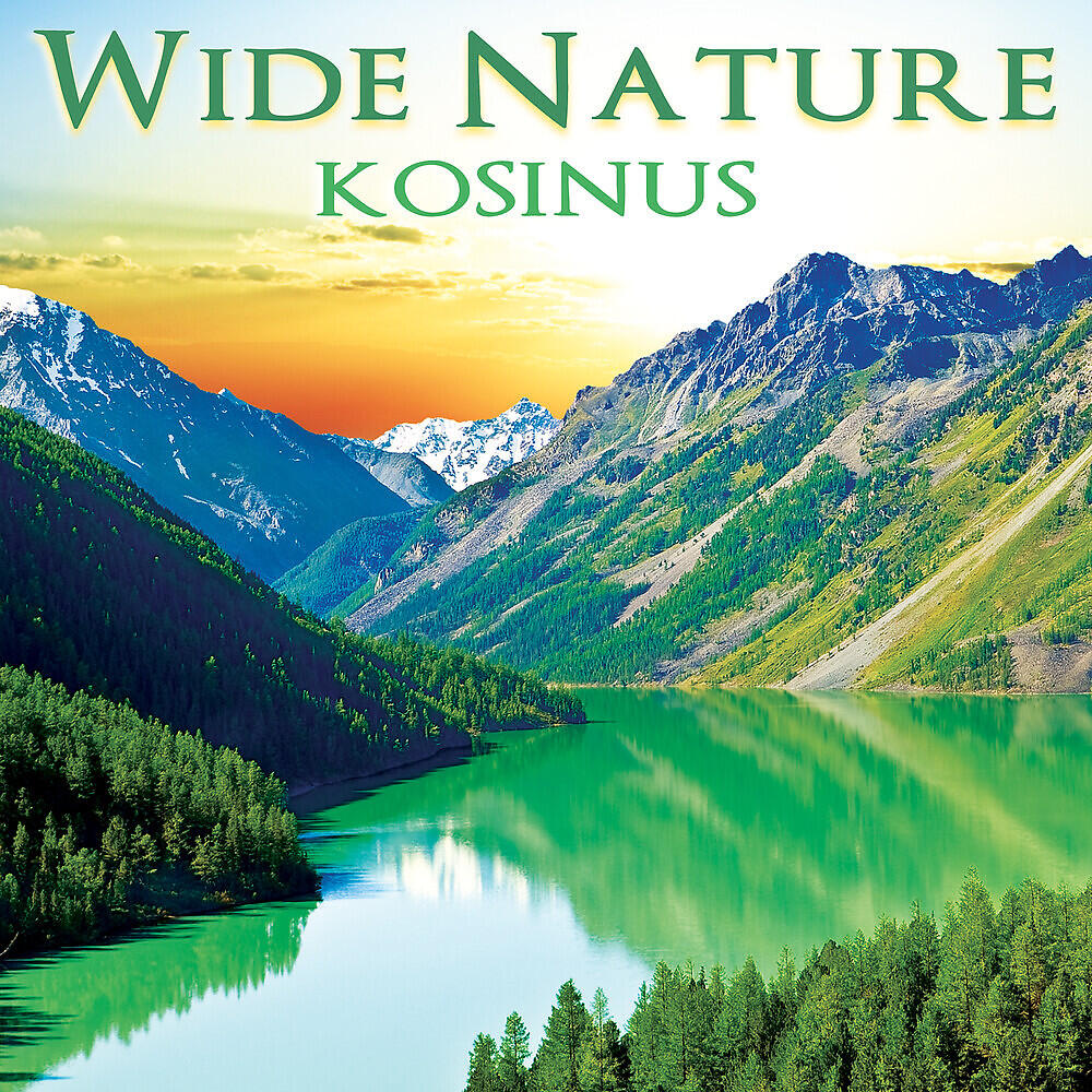 Релиз Wide Nature