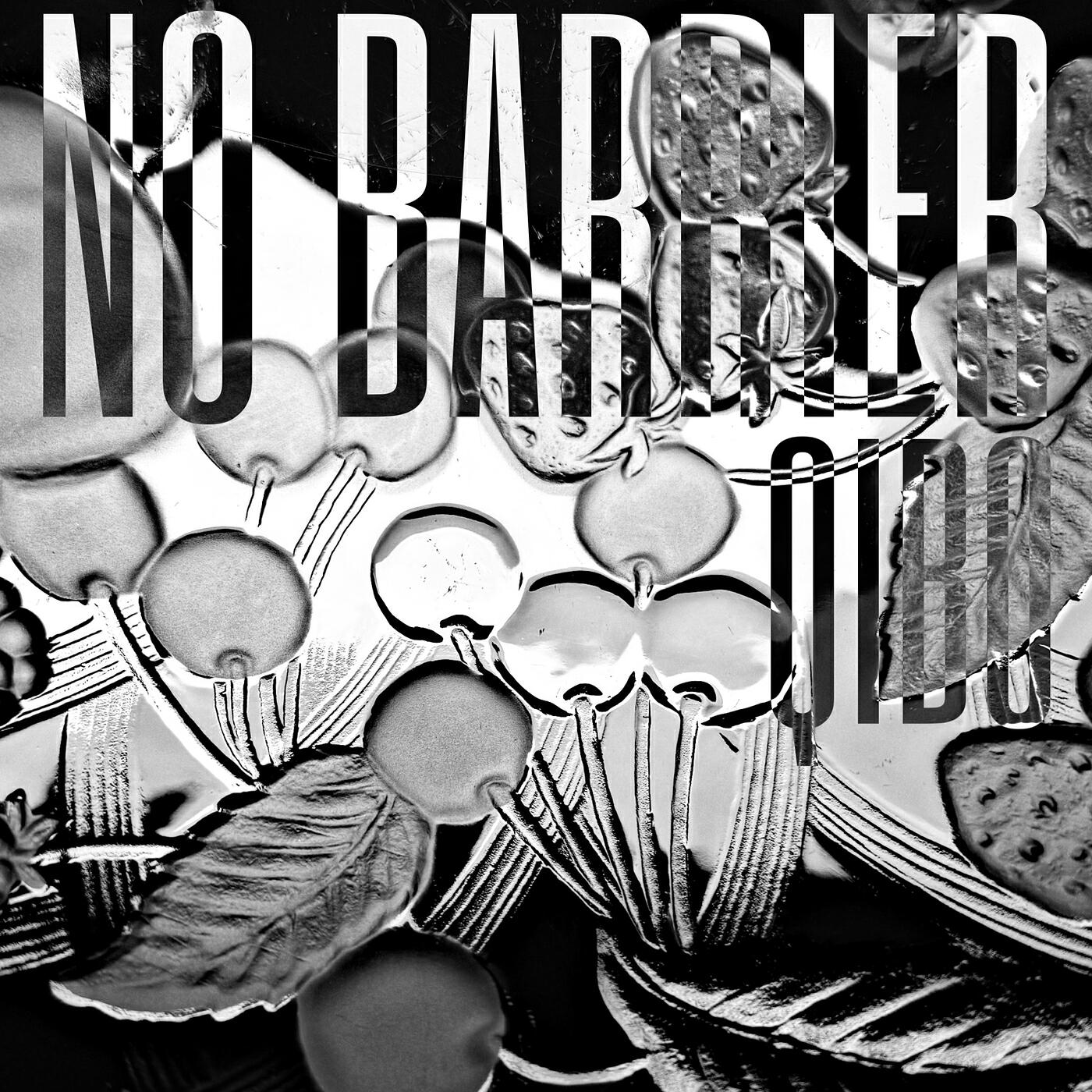 Релиз No Barrier