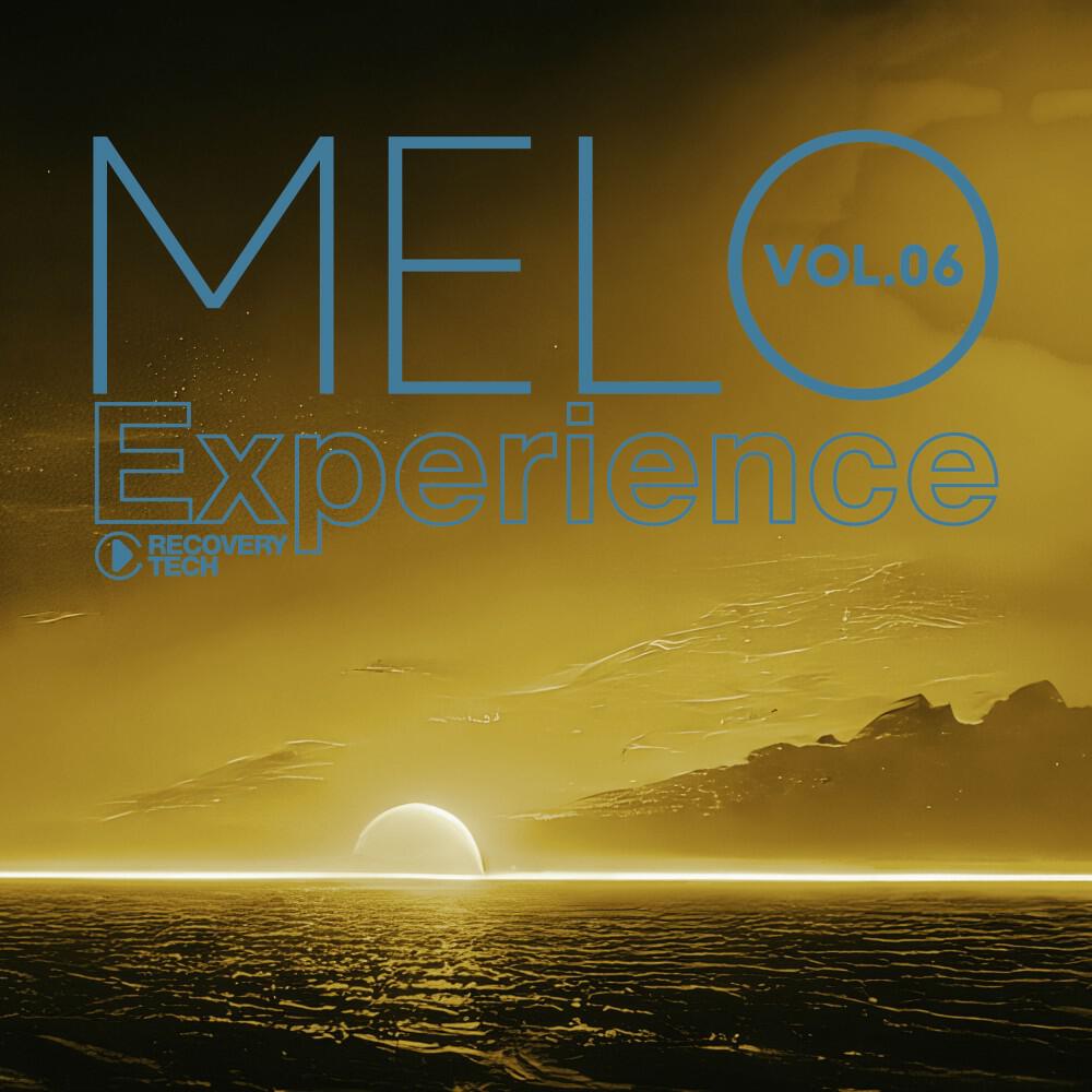 Релиз Melo Experience, Vol.06