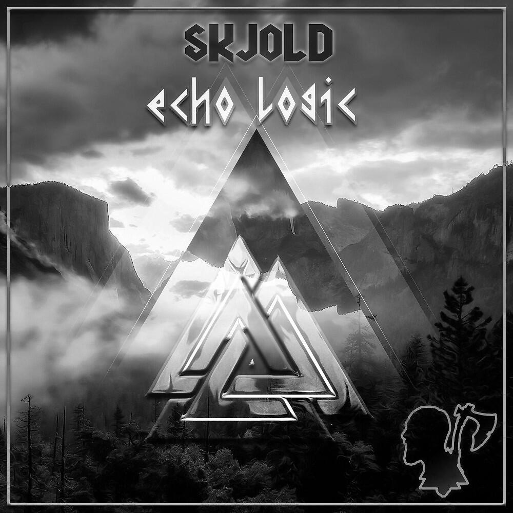 Релиз Echo Logic