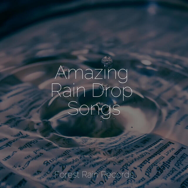 Релиз Amazing Rain Drop Songs