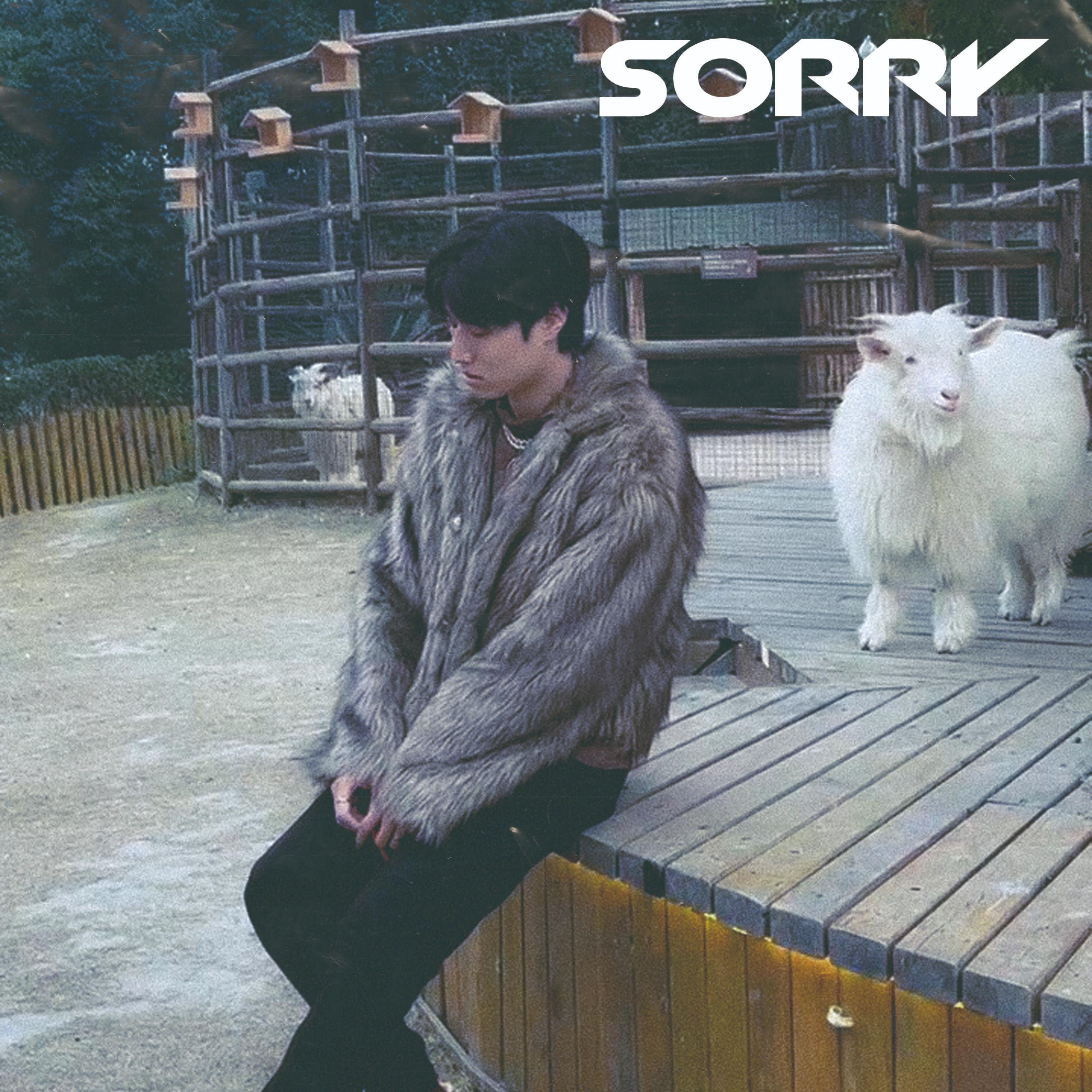 Релиз Sorry