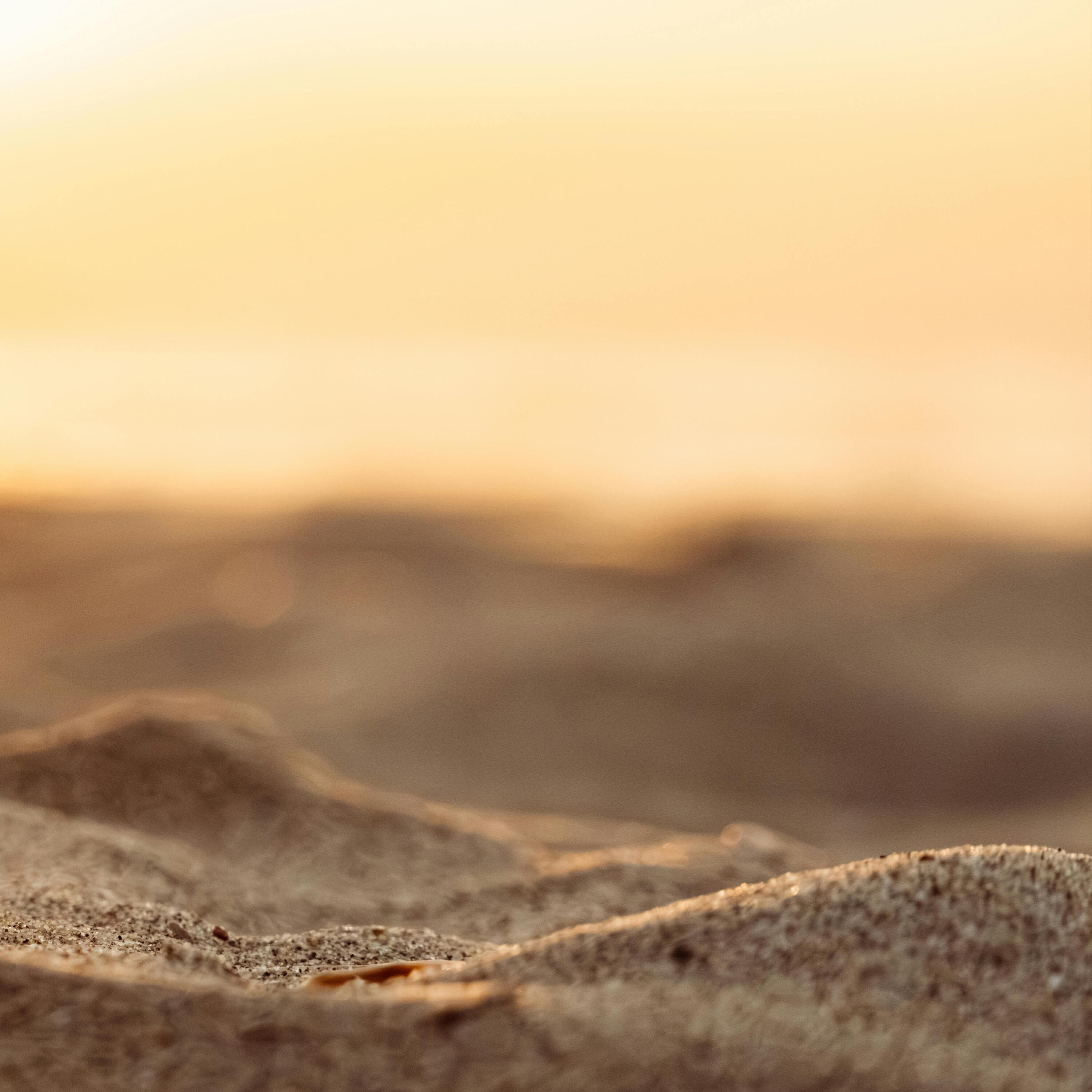 Релиз Seaside Dreams