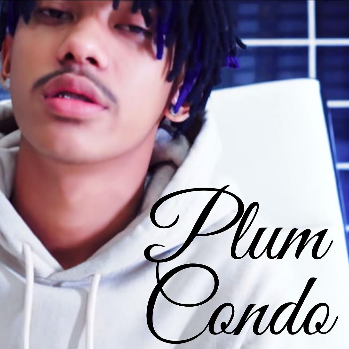 Релиз Plum Condo