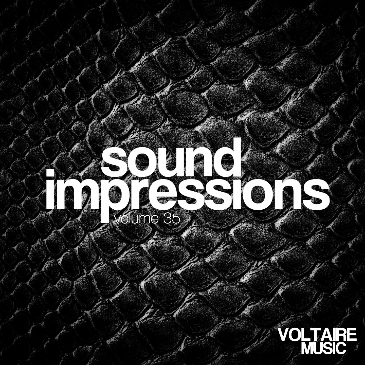 Релиз Sound Impressions, Vol. 35